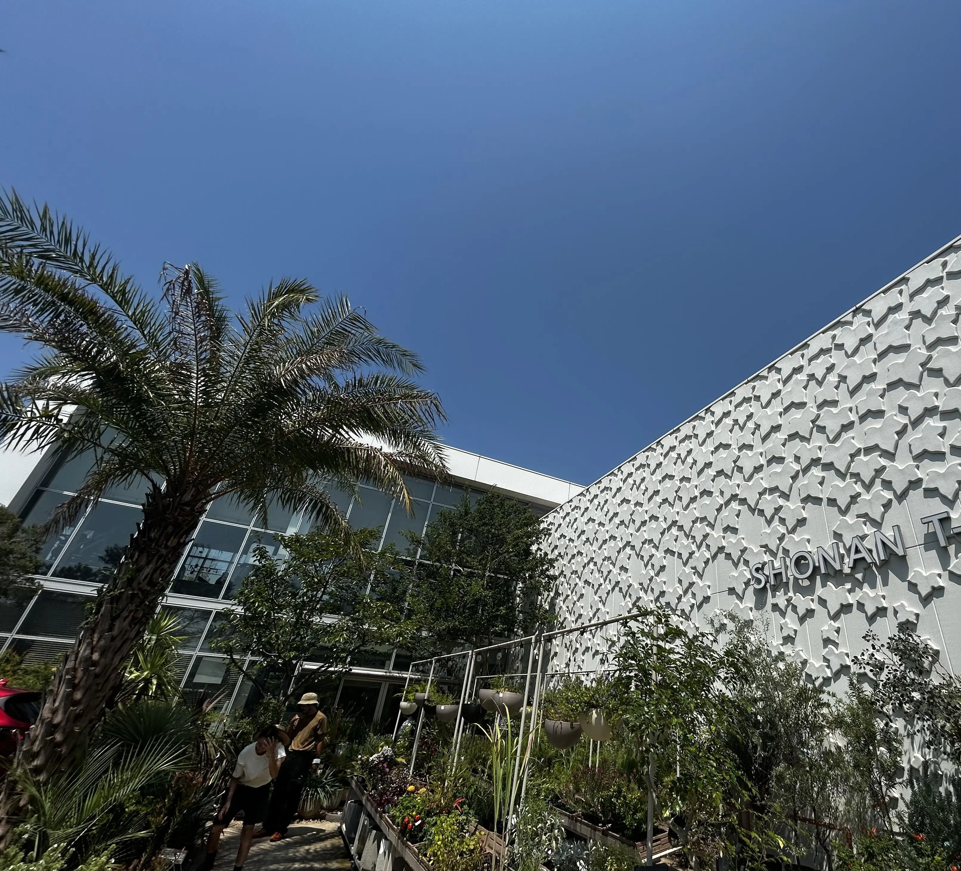 163788a19ccb5ad78a01552e75a364