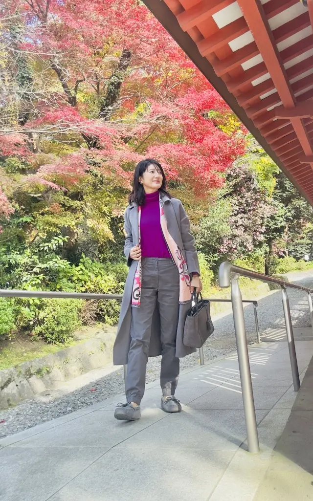 富士山本宮浅間大社 × ユニクロのジョガーパンツ_1_4