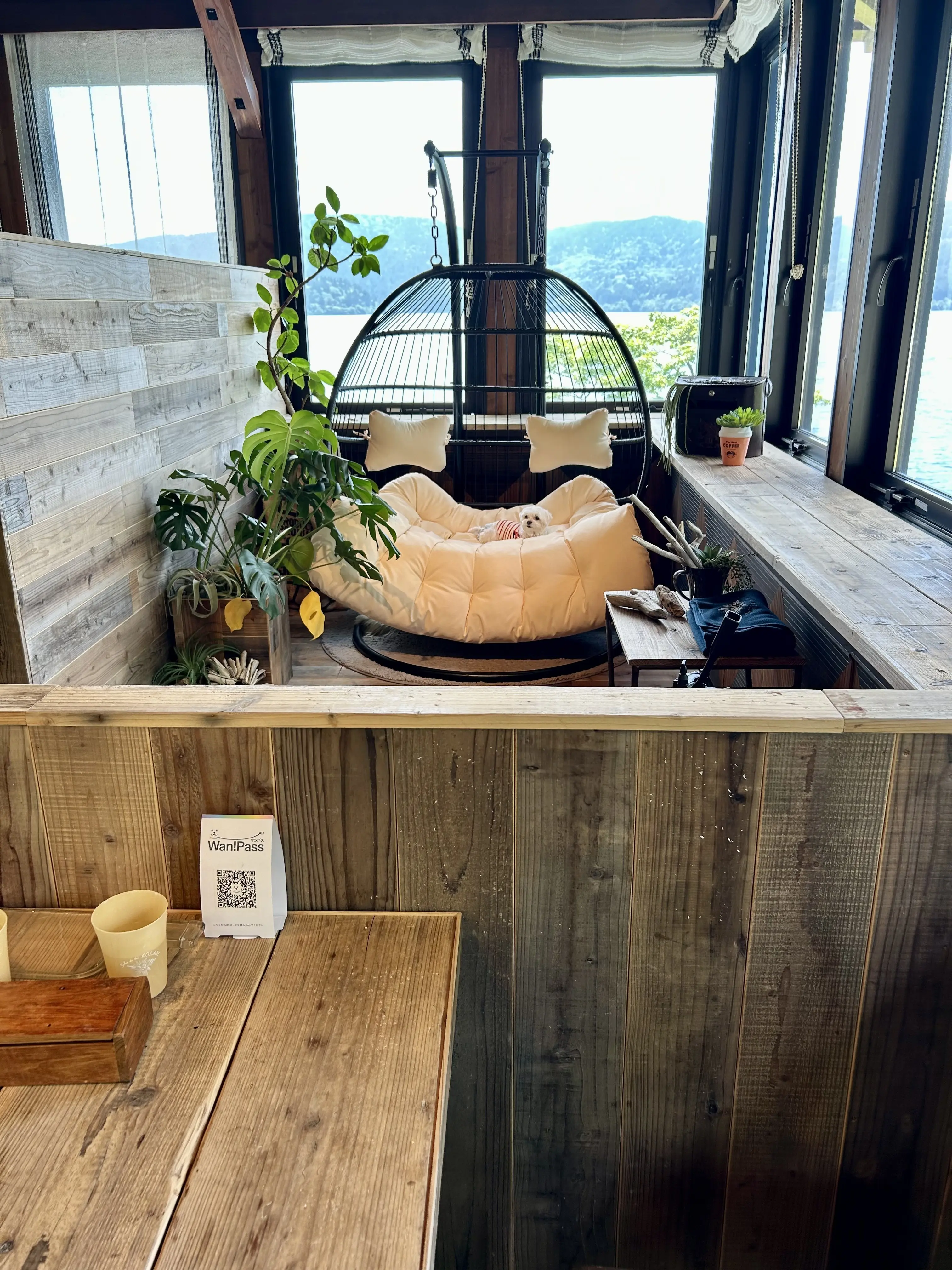 生まれ変わった山のホテル別館へ♪_1_12