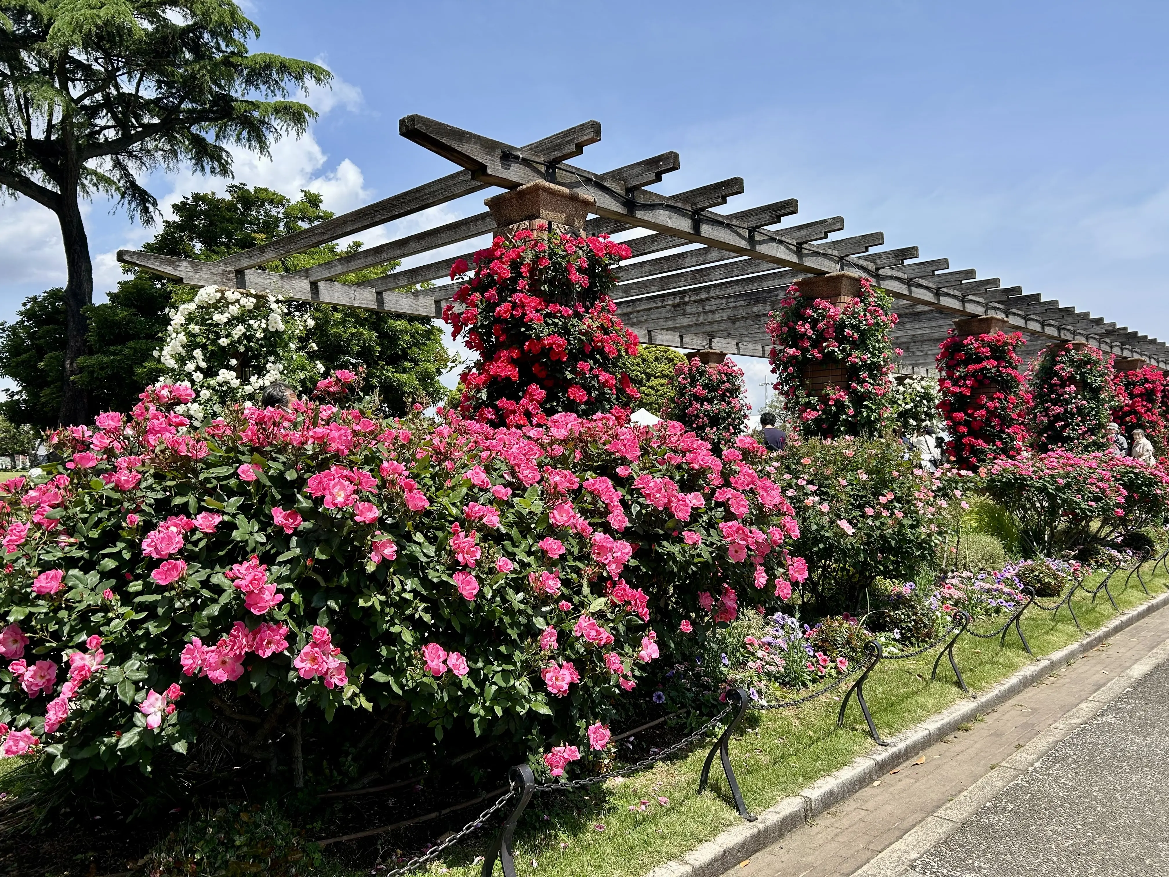 シアーシャツとワイドパンツで山下公園へ♪_1_10