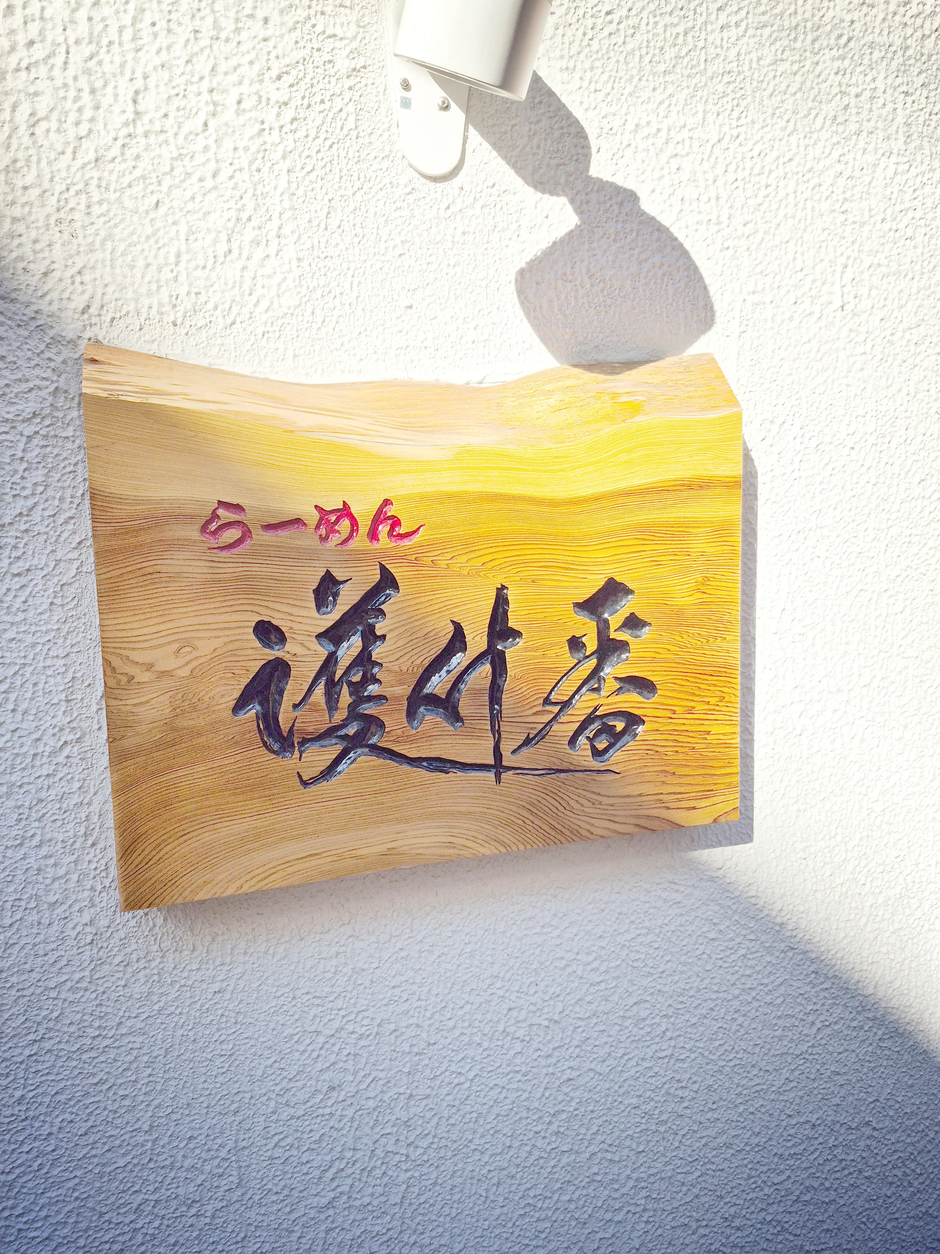 2026年【初詣レポ】護国寺のパワースポット&amp;グルメ_1_11