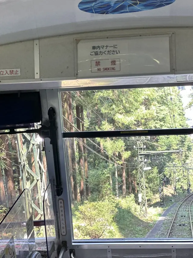 奥多摩プチトリップ_1_10