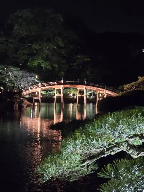 栗林公園ライトアップ_1_3