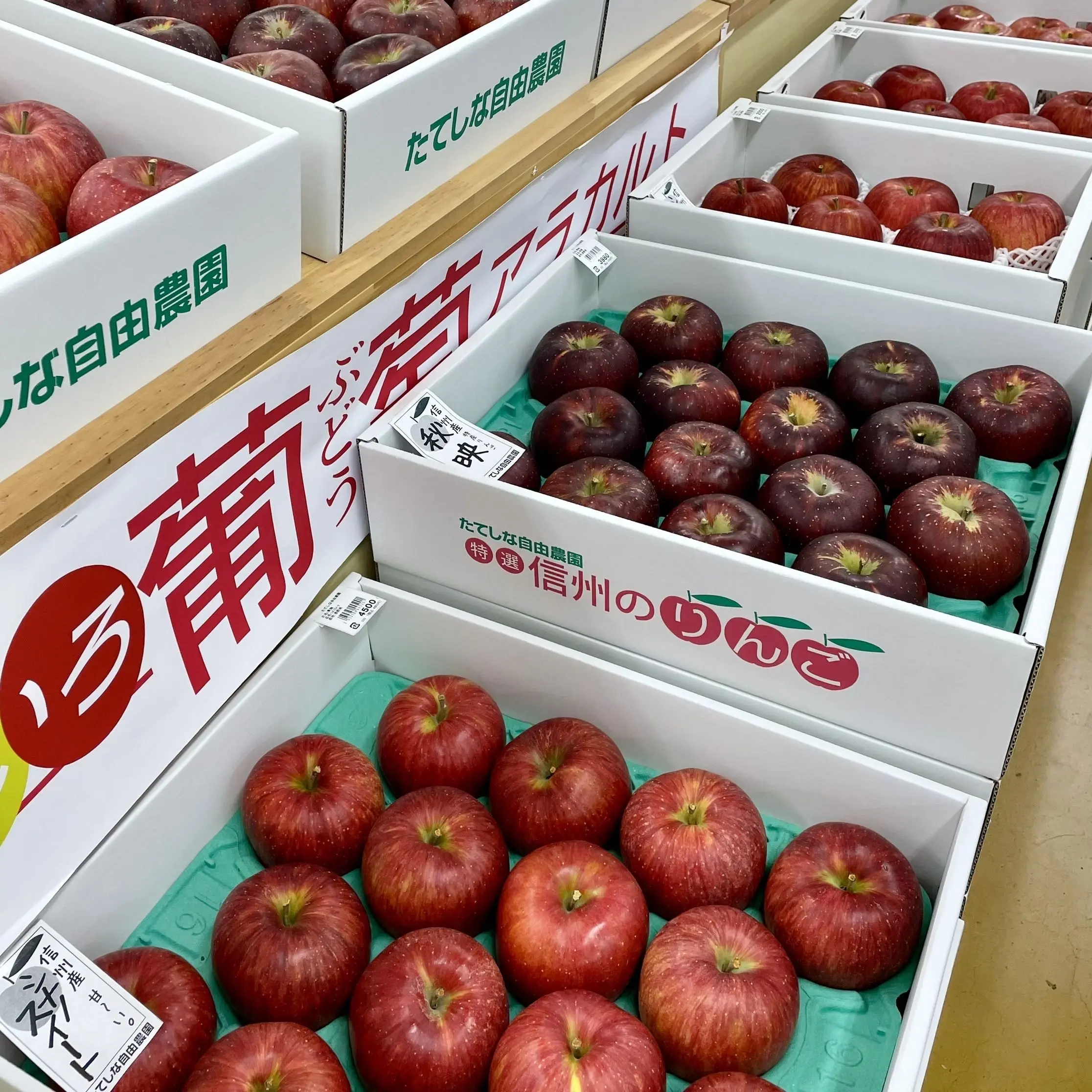 長野県「たてしな自由農園」、りんご