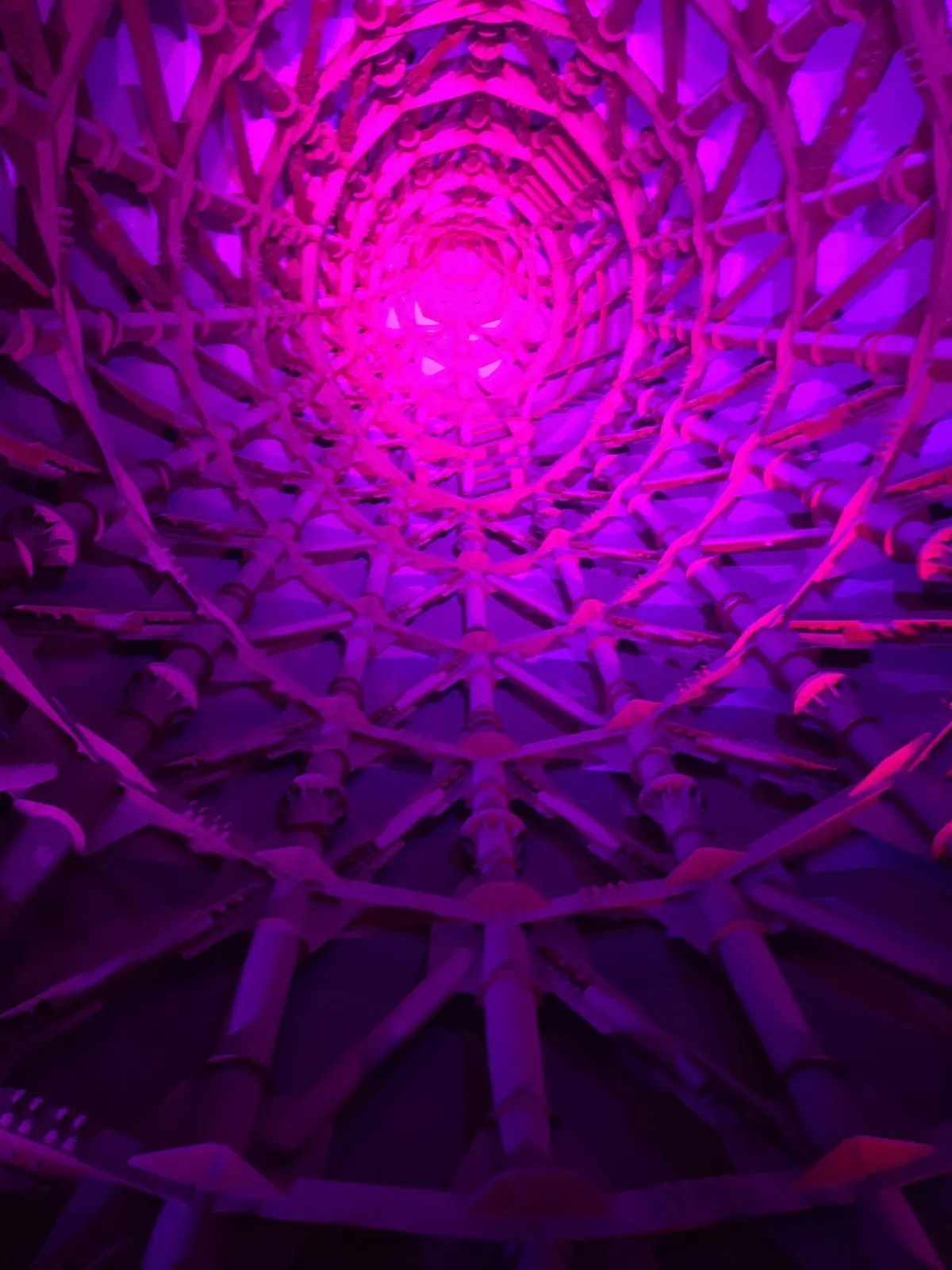 私と同い年のEXPO70 「太陽の塔」_1_20