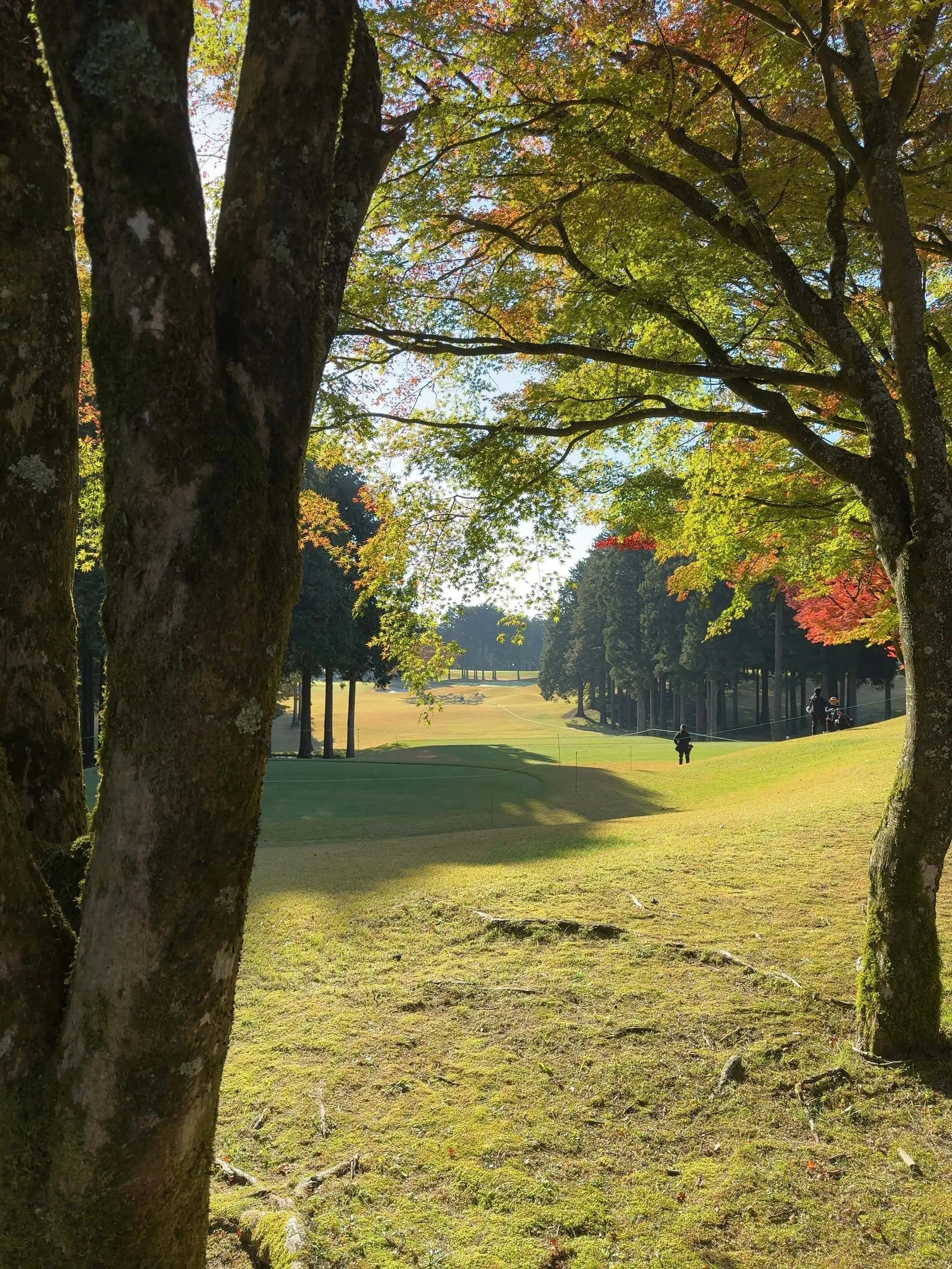 三井住友VISA太平洋マスターズ　風景　ゴルフ場