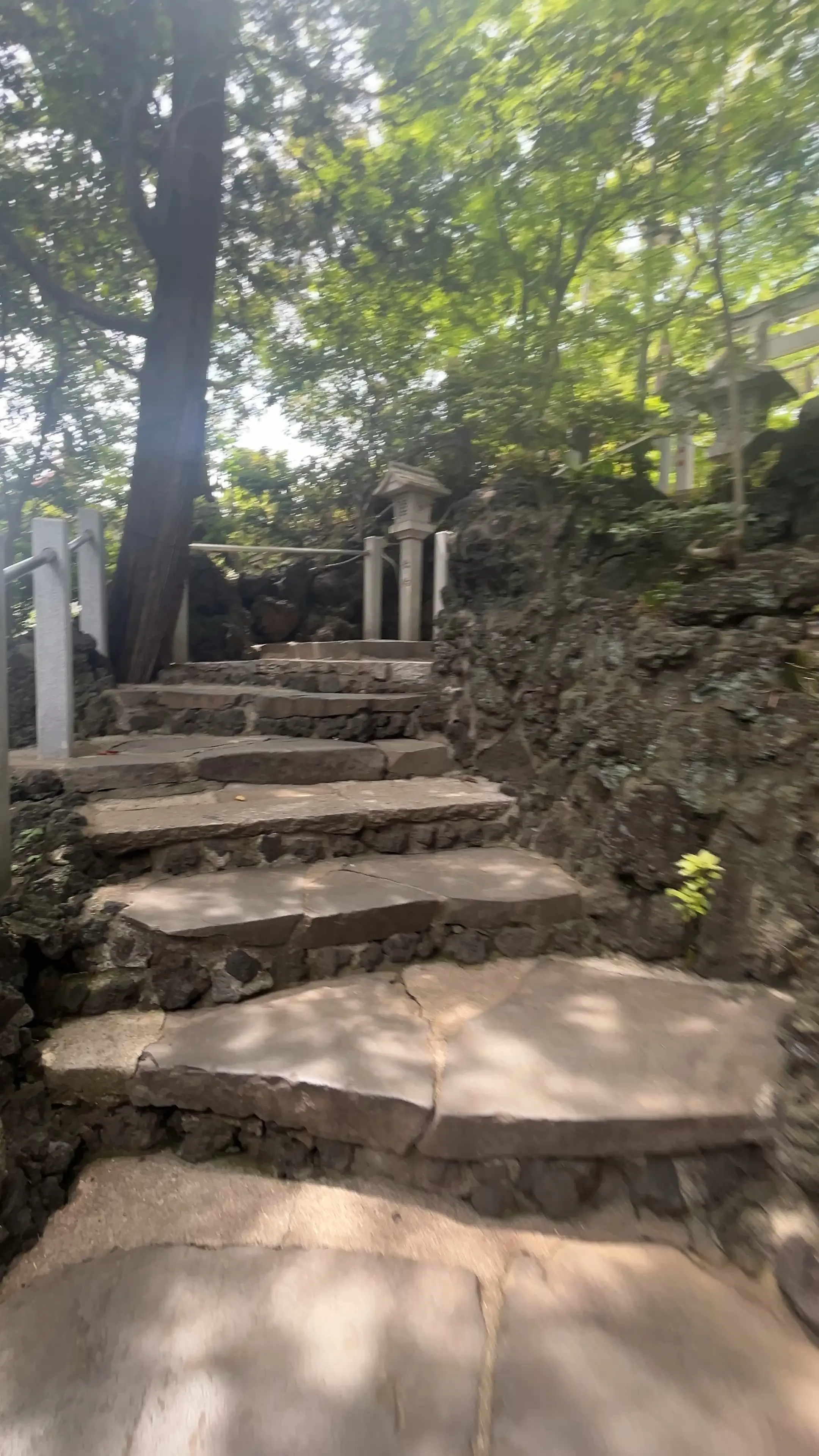 ふらっと日帰り一人旅〜東京神社めぐり〜_1_7