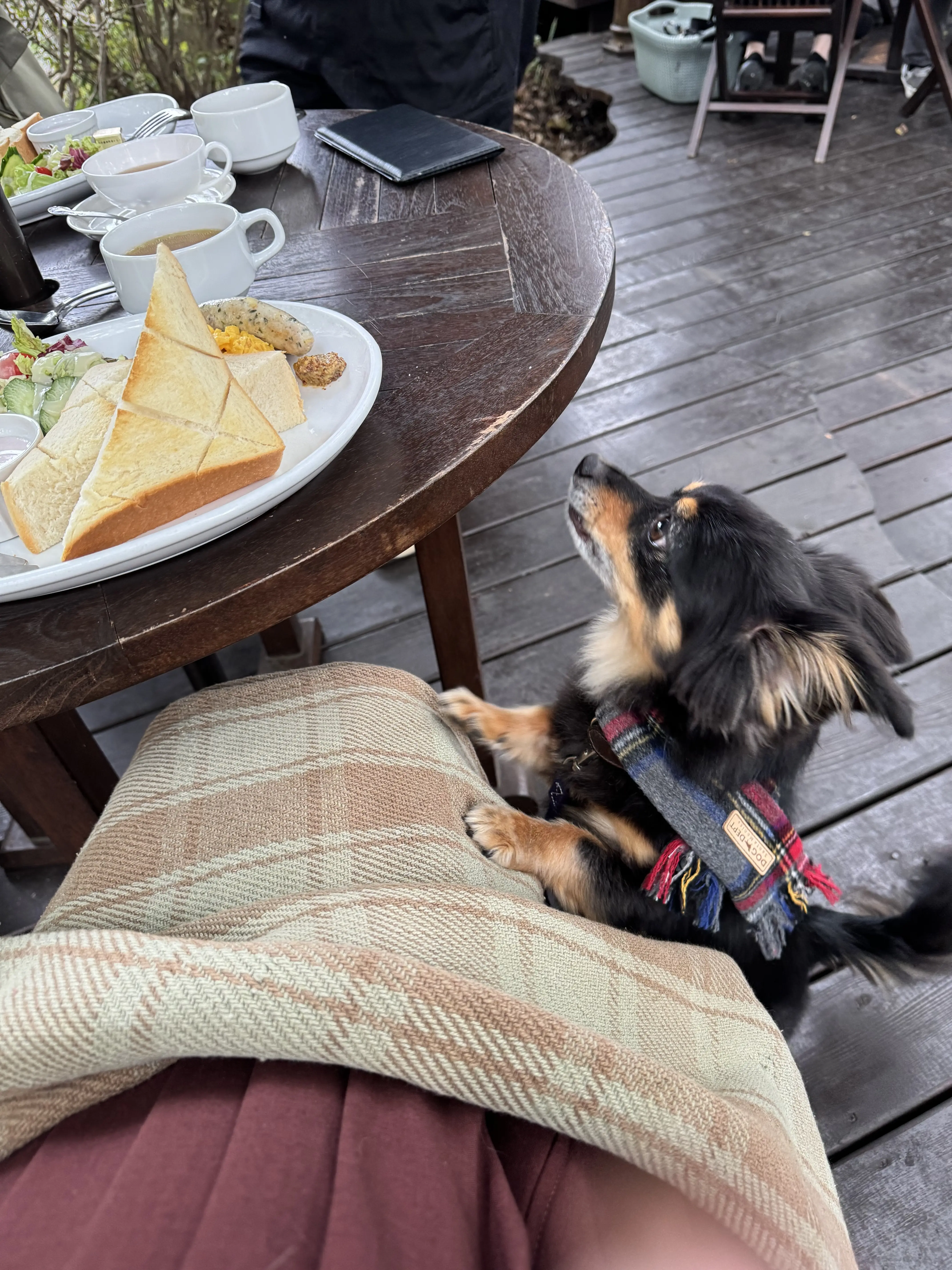 【秋の那須旅行①】超人気ベーカリーレストラン「ペニーレイン」、千本松牧場で馬と触れ合い_1_4-2