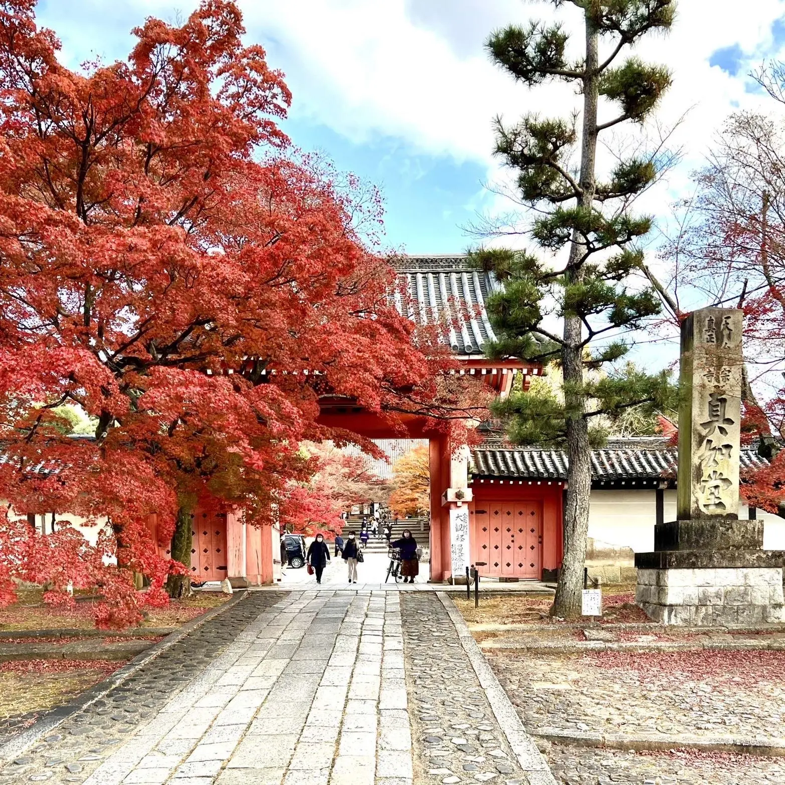 秋の景色を楽しむ♡京都の紅葉_1_22