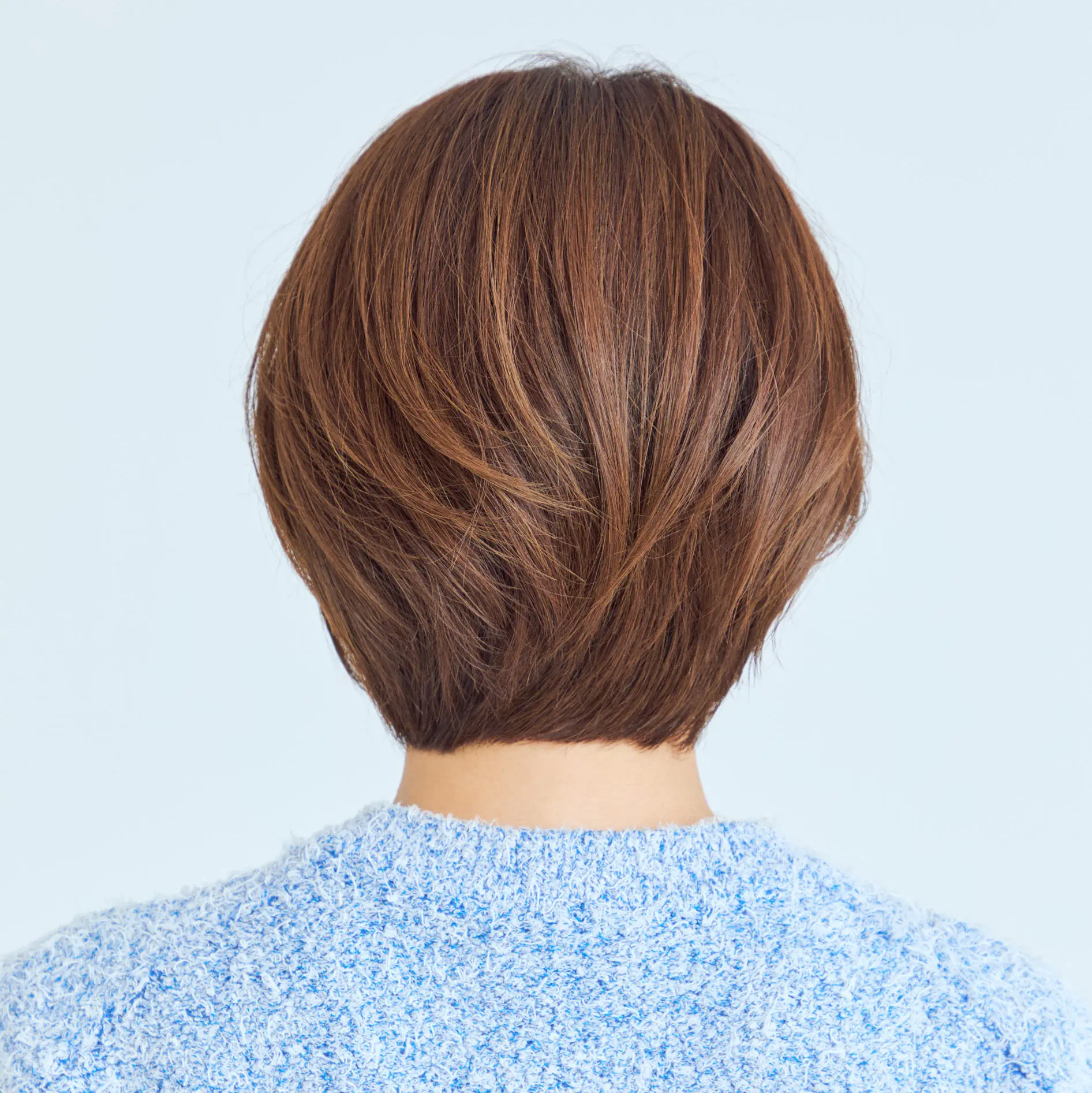 後から見たショートヘアスタイル