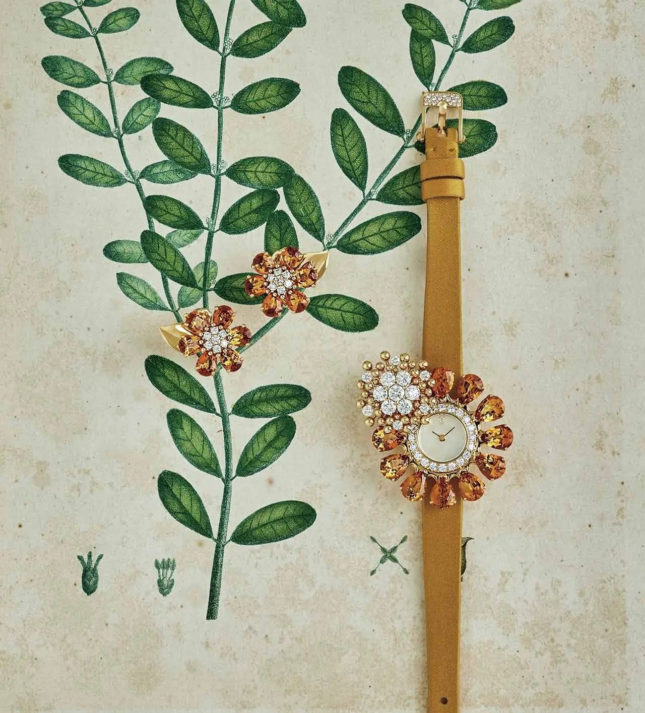 VAN CLEEF&amp; ARPELS