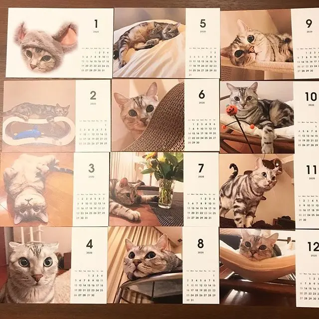 アランのカレンダー、インスタグラムから選んだ画像