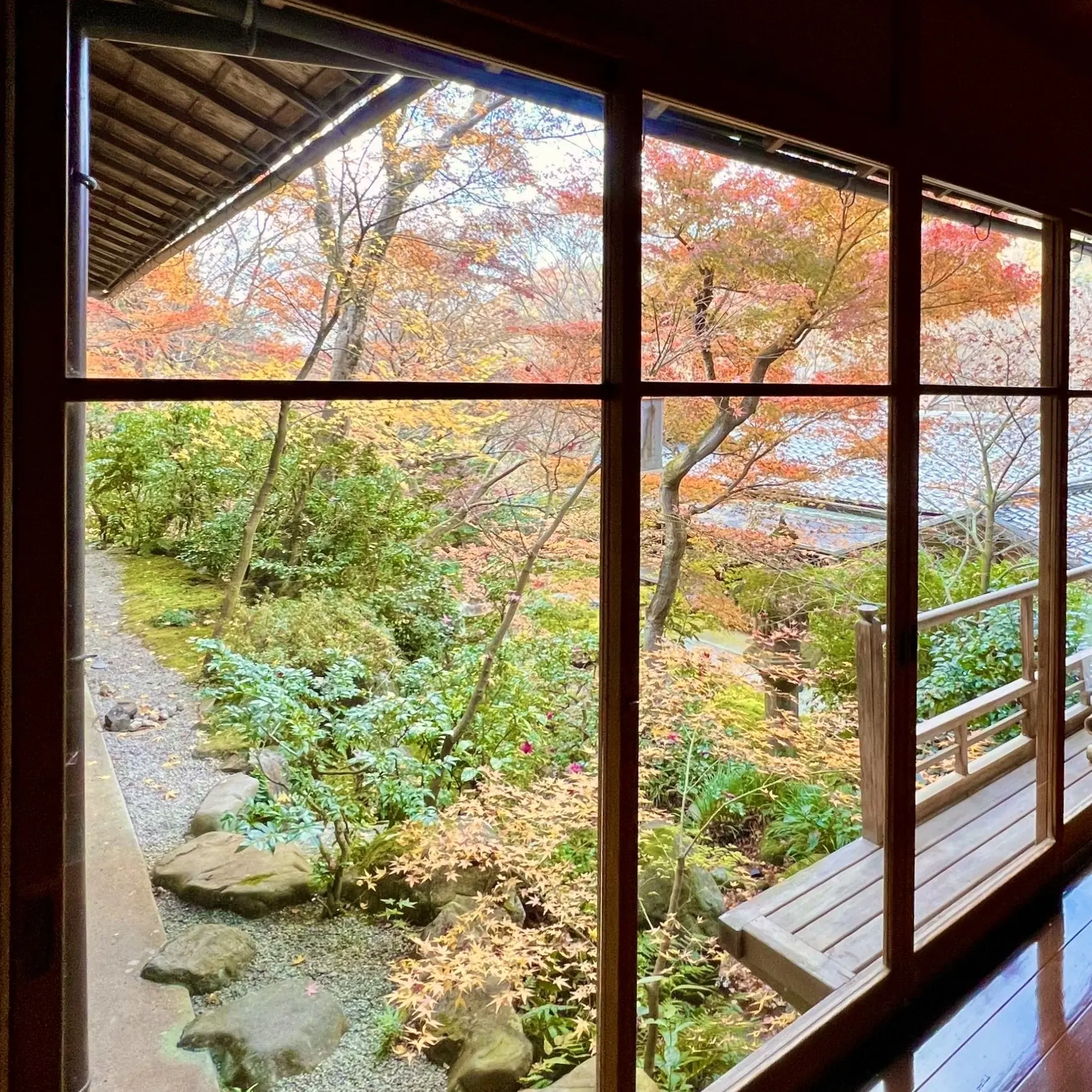 秋の景色を楽しむ♡京都の紅葉_1_17