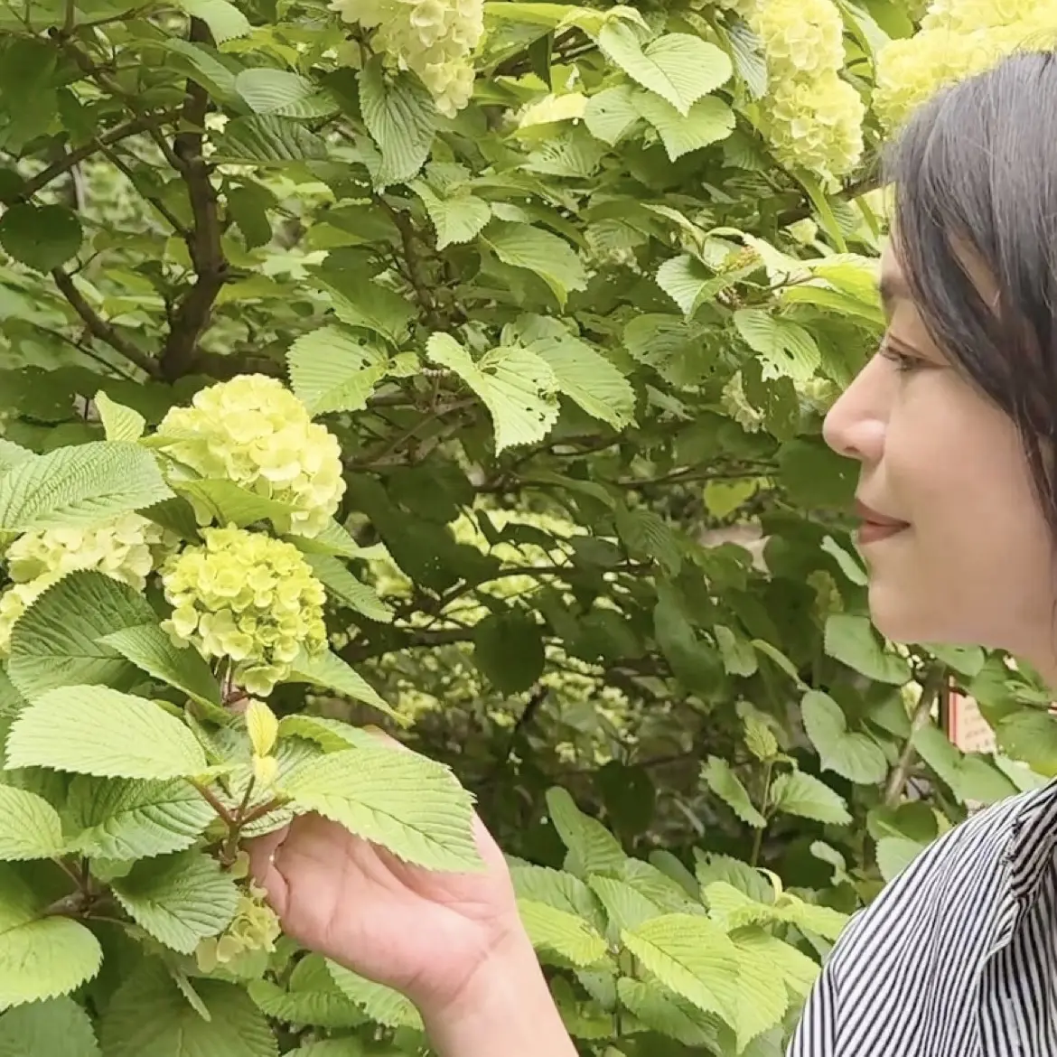 新緑の清々しい風を感じに鎌倉へ🌿_1_6