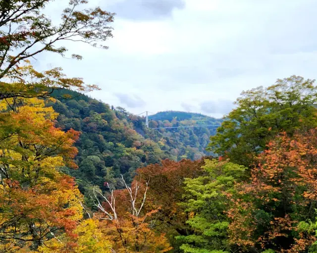 日本の紅葉スポットにも入っている、大分県九重町(ここのえまち)にある「九重"夢"大吊橋」。