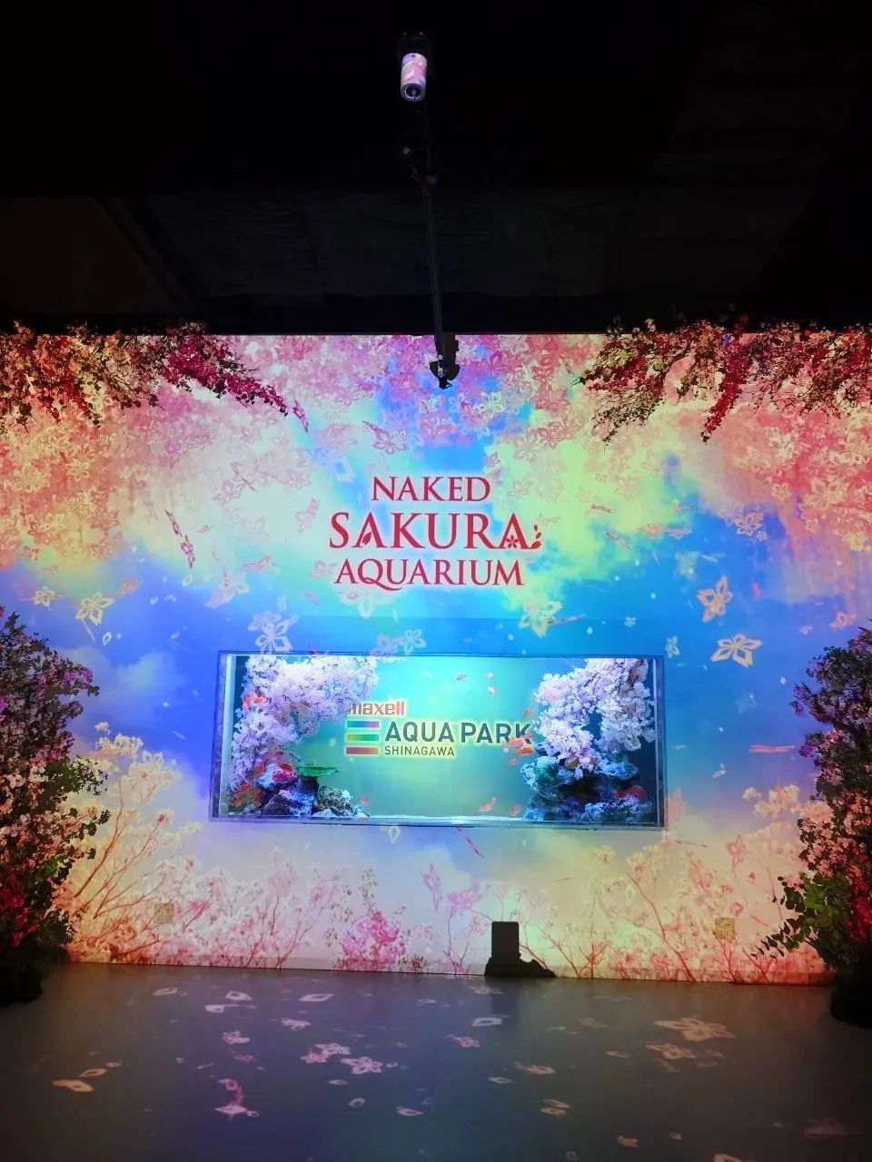 NAKED SAKURA AQUARIUM