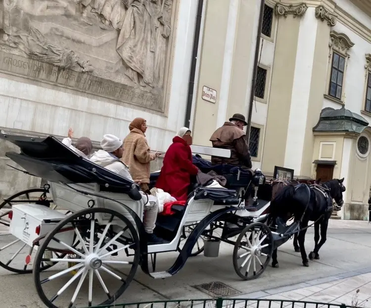 馬車が似合う街、ウィーン