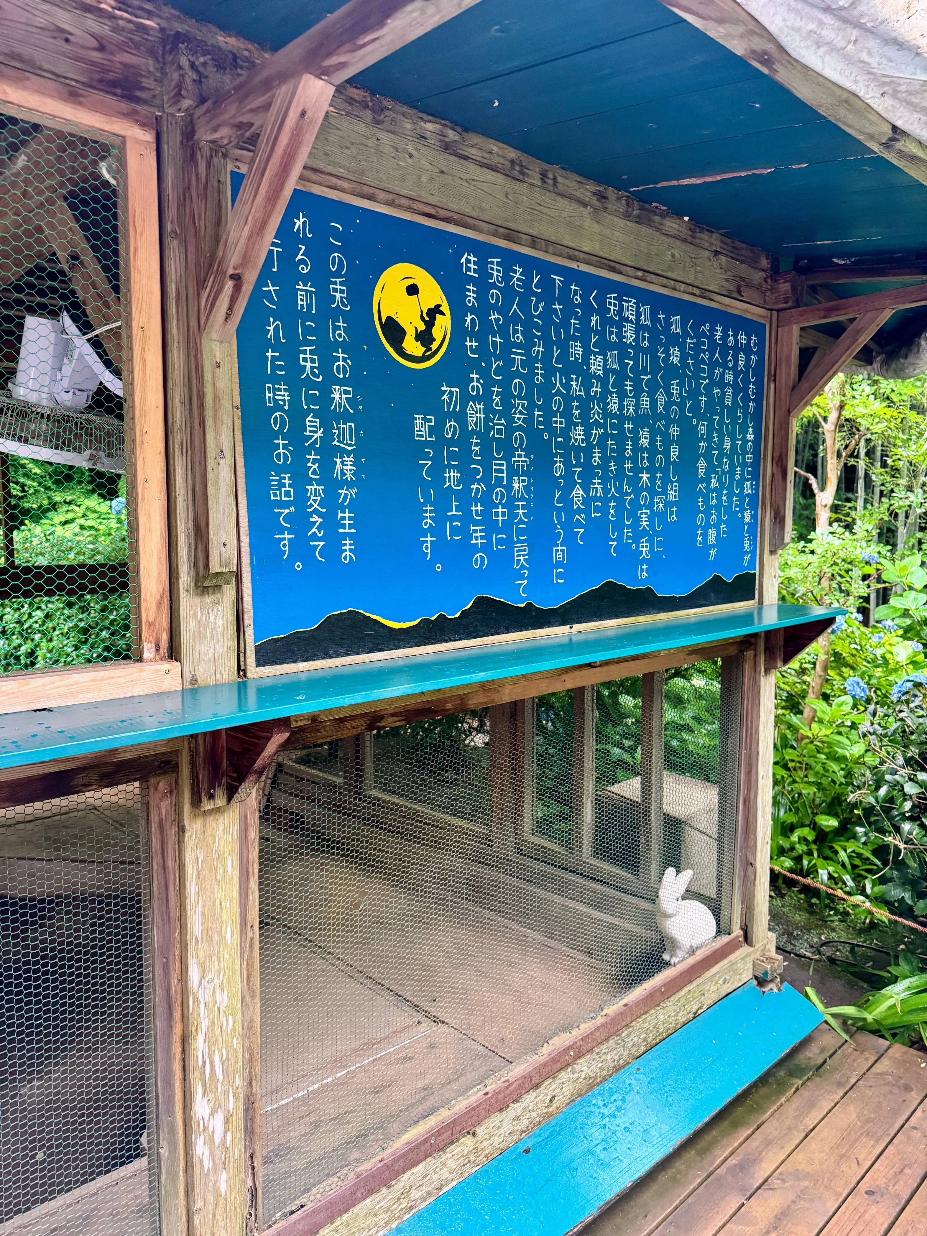 紫陽花の季節、自分で仕立てたお着物で古都鎌倉・明月院へ_1_12