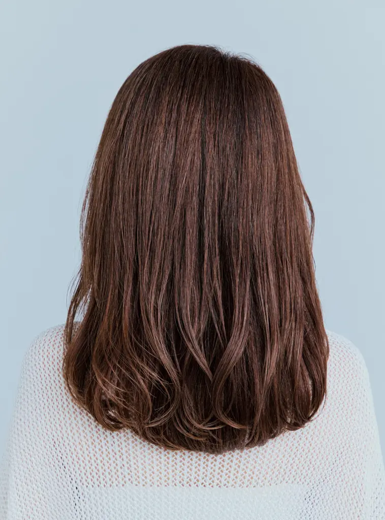 Webエクラ 後から見たミディアムヘアスタイル