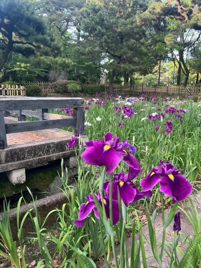 サックス侍さん 鶴舞公園公認アーティスト _1_8