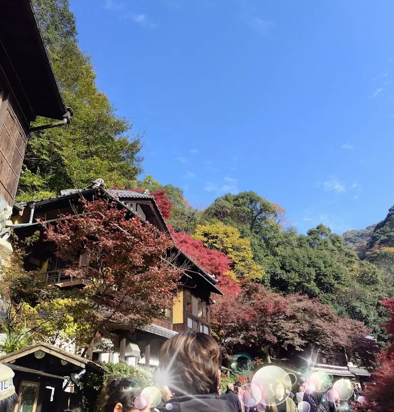 箕面の大滝への滝道