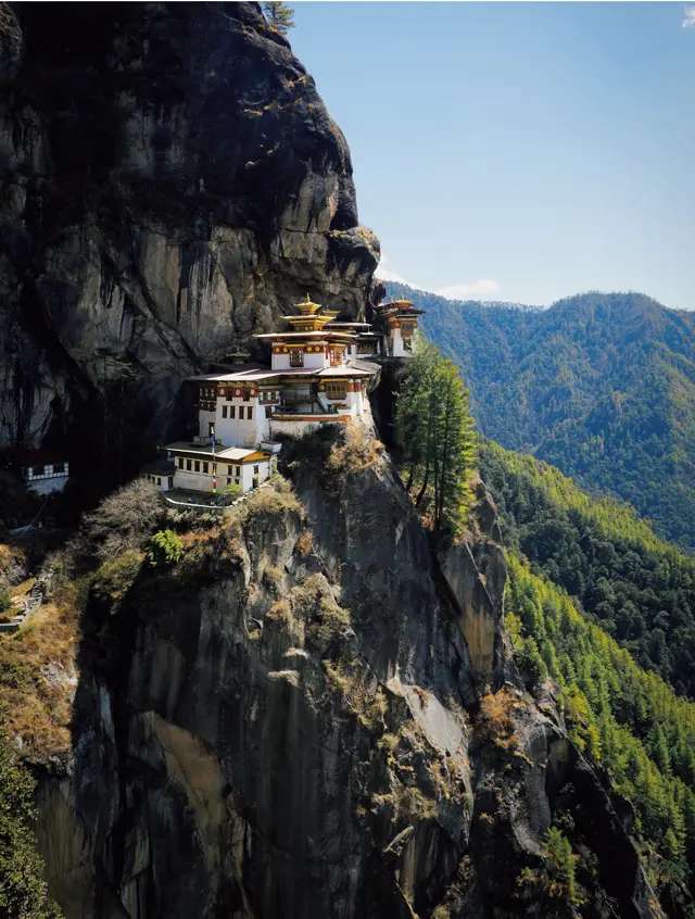 虎の巣
