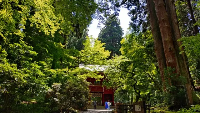 夏の茨城旅【後編】御岩神社から偕楽園、弘道館まで_1_2