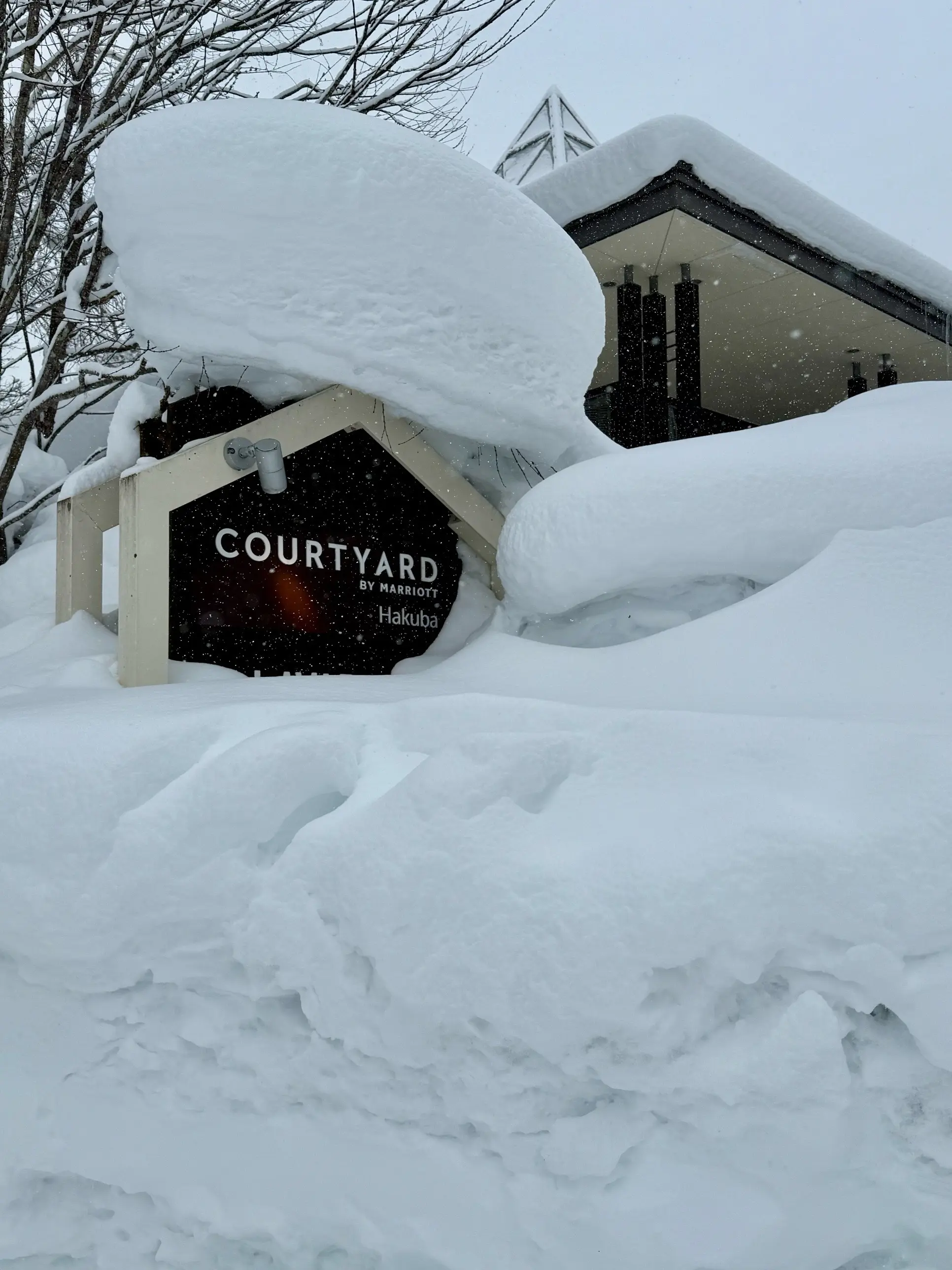 冬の白馬 雪景色とおしゃれカフェで過ごす時間を楽しむ旅_1_35