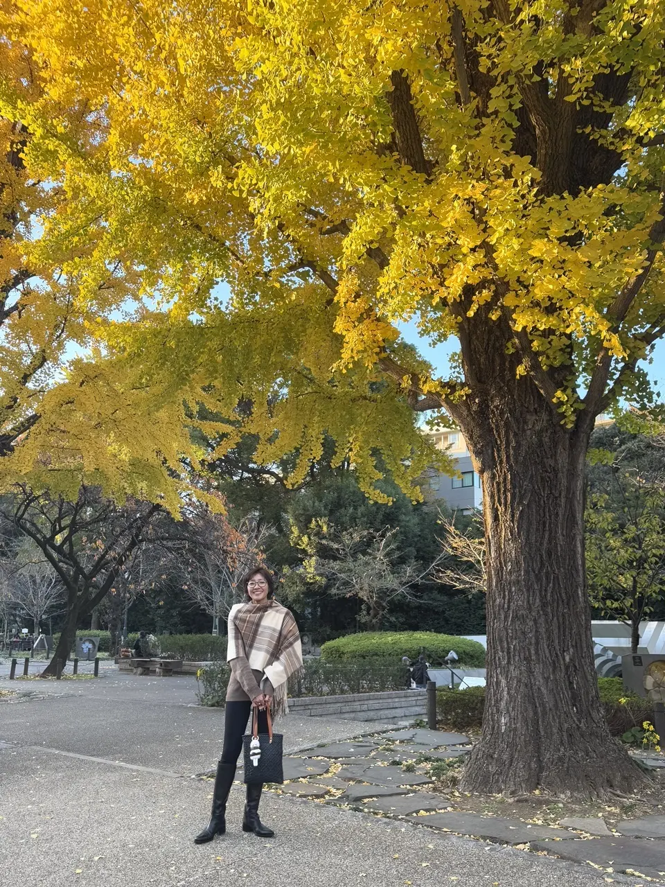 靖国神社の銀杏並木 ③