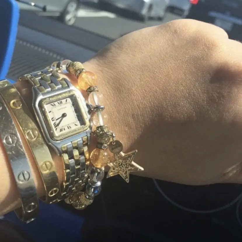 Cartier&quot;INTO TO THE WILD&quot;へ_1_11-1