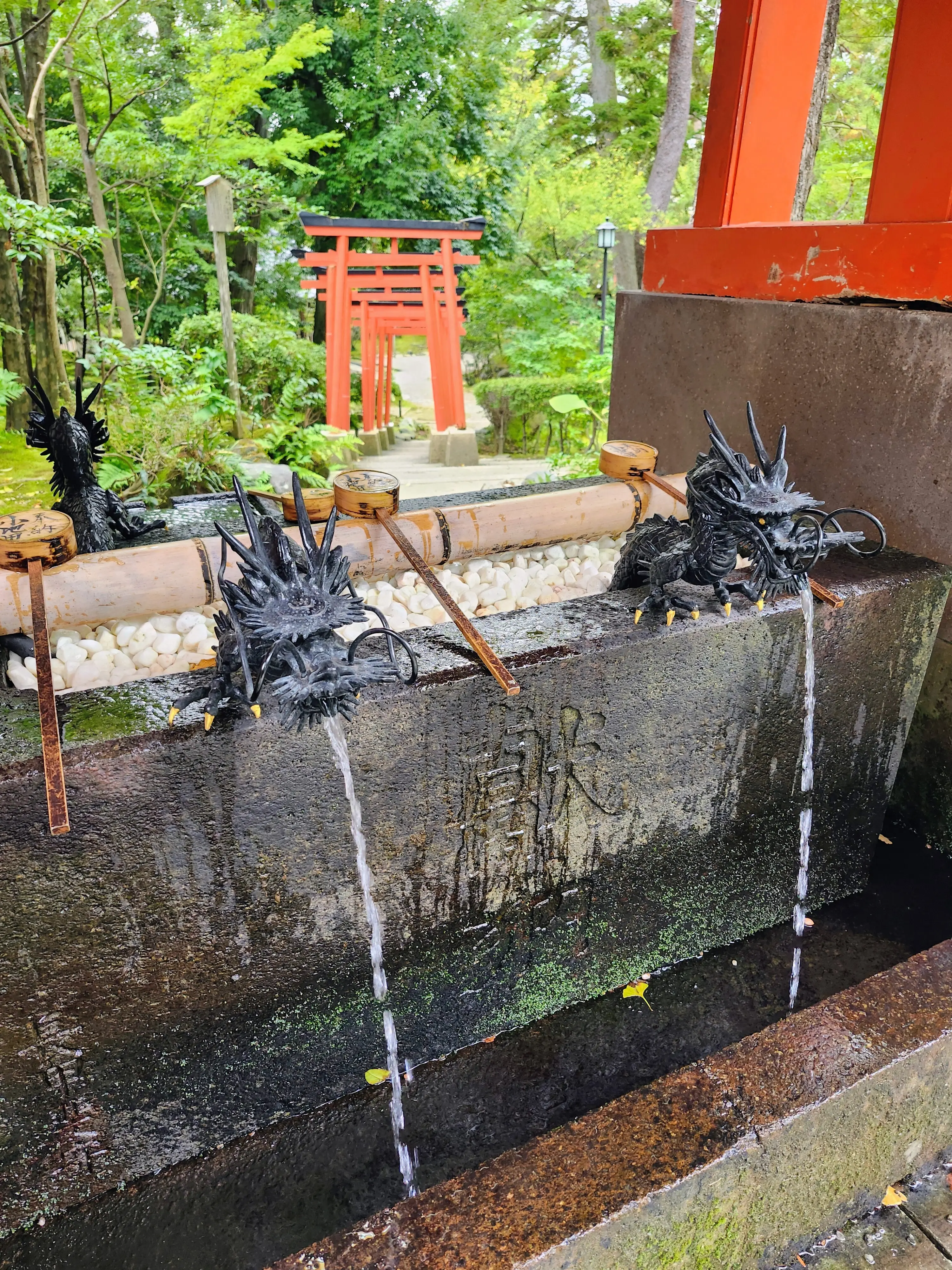 女子旅、金沢、金沢旅行、秋の金沢、40代ファッション、旅コーデ、加賀料理、21世紀美術館、御朱印 神社、金沢カフェ、茶屋街