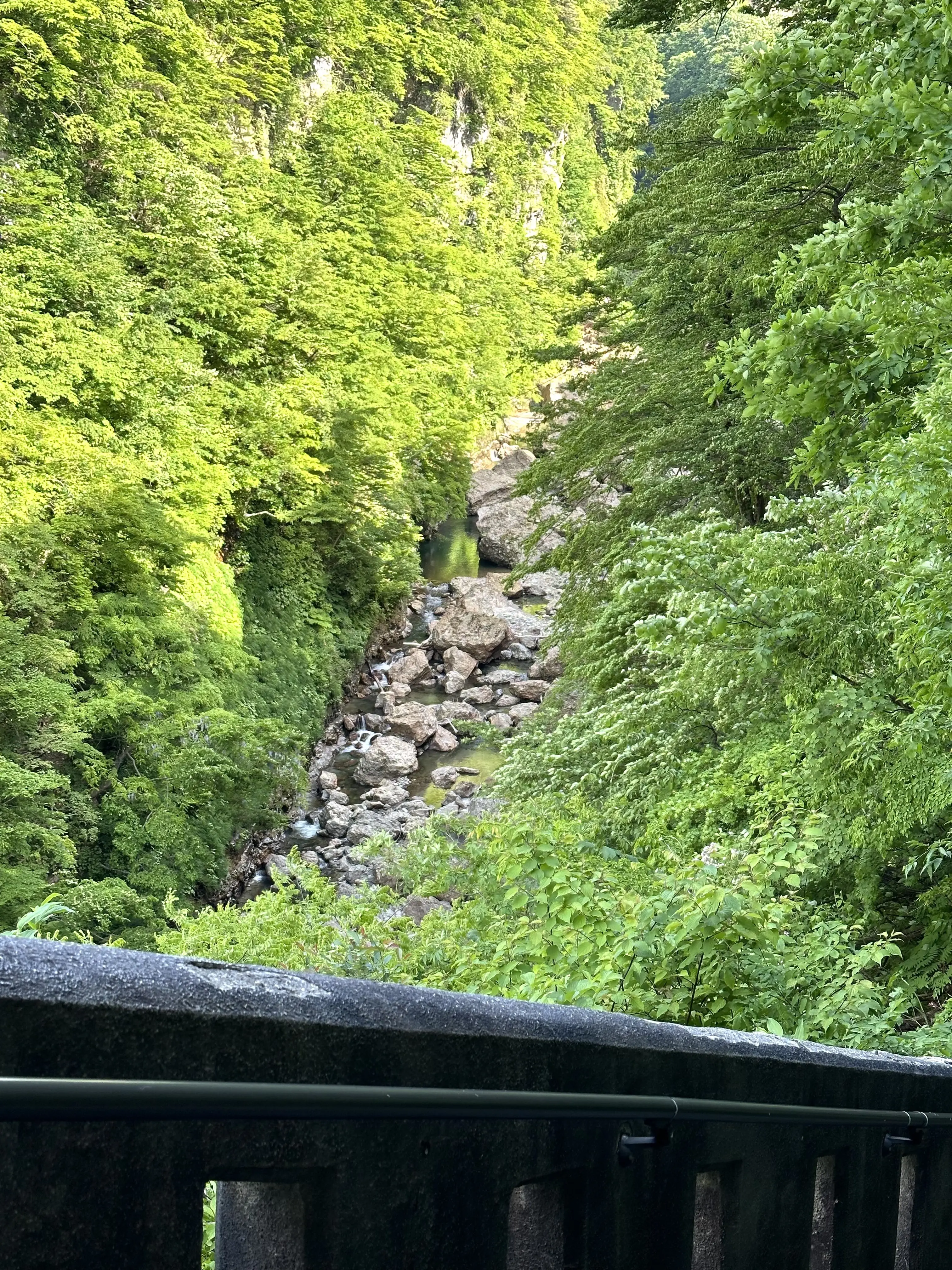 【秋田】雄大な自然と温泉を楽しむ旅ー秋田県小安峡温泉_1_24