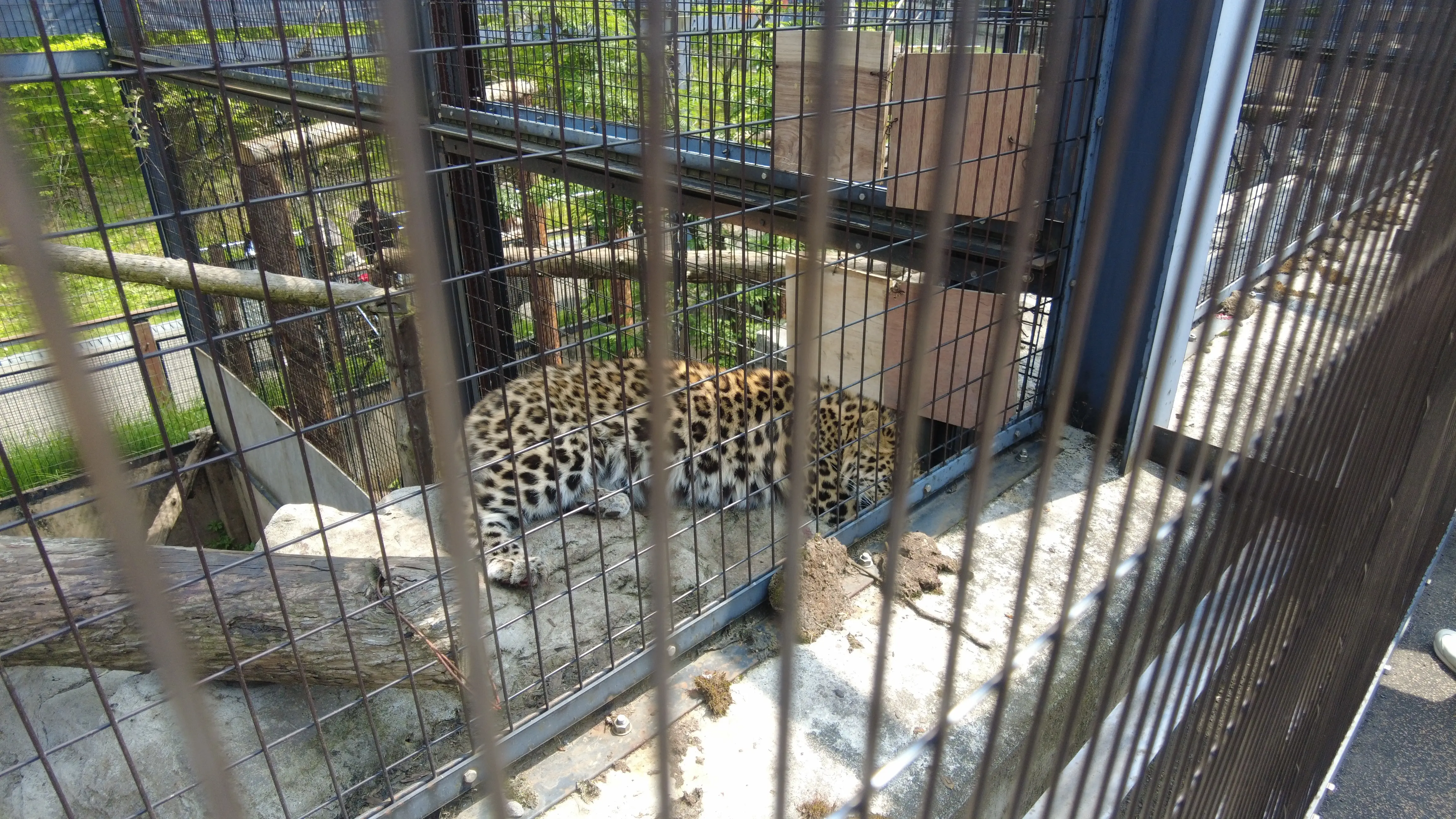 念願だった北海道旭川市「旭山動物園」行ってきました～♪_1_9-1