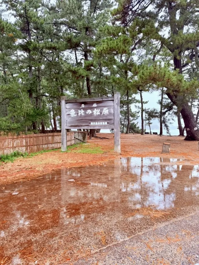 北陸の守護神「氣比神宮」へ 松尾芭蕉が愛した月と秋の風景に触れて…_1_9