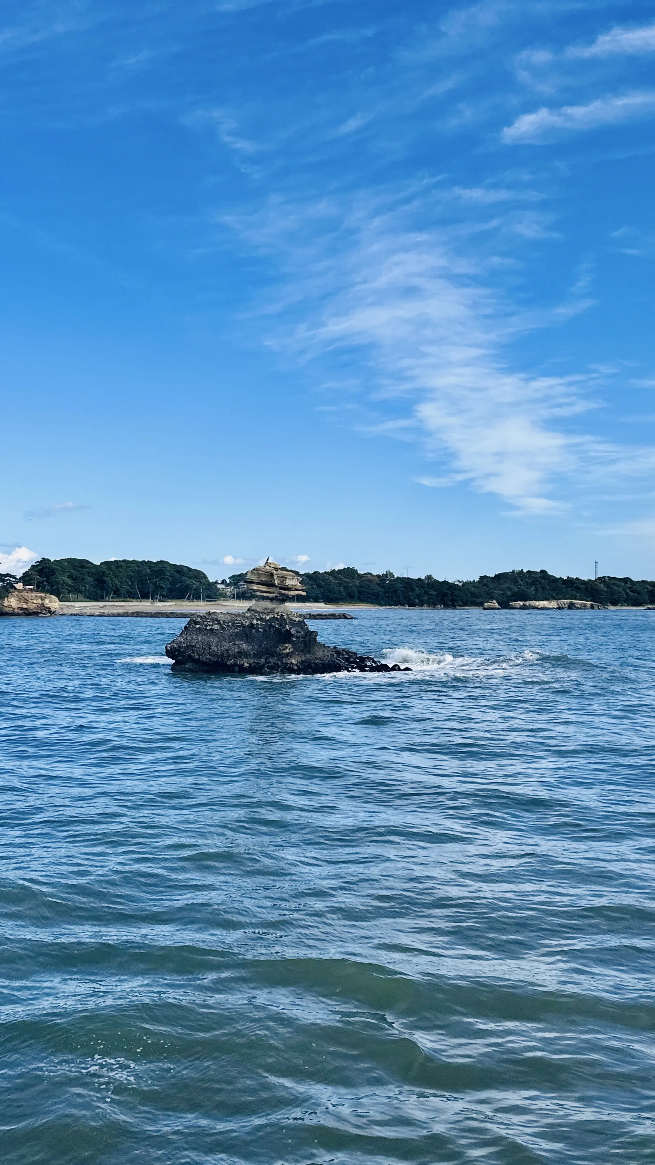 【秋の仙台旅行】「宮島」と「瑞巌寺」で鷹匠🦅にチャレンジ_1_6