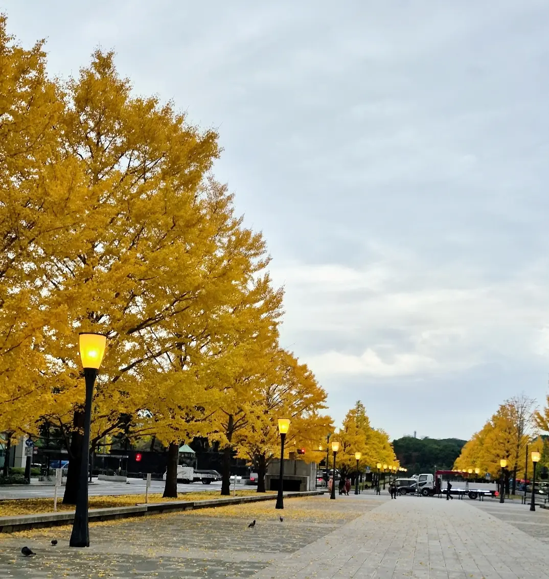 早朝の丸の内＆ドキドキのミステリーツアーに参加して来ました_1_3-2