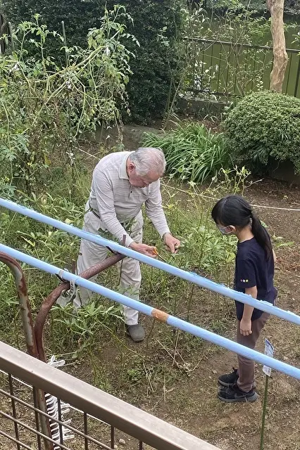 お庭で野菜の収穫