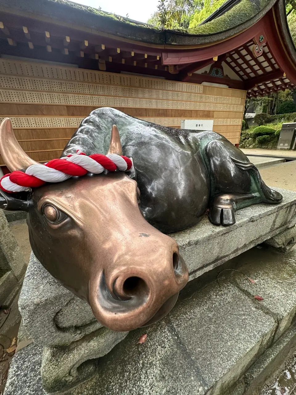 大人のラグジュアリー旅〜リッツカールトン福岡ステイと博多・有田観光②観光・グルメ編_1_22-2