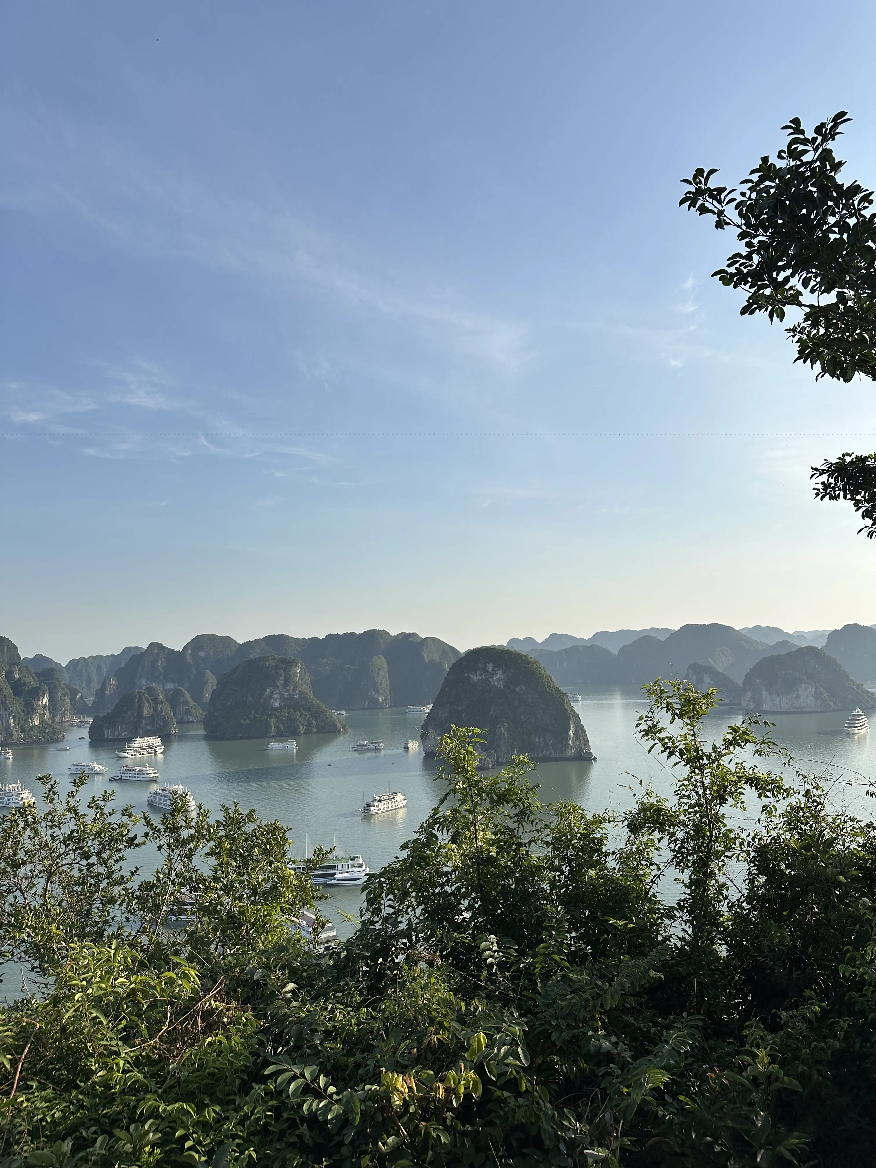 ティートップ島　ハロン湾