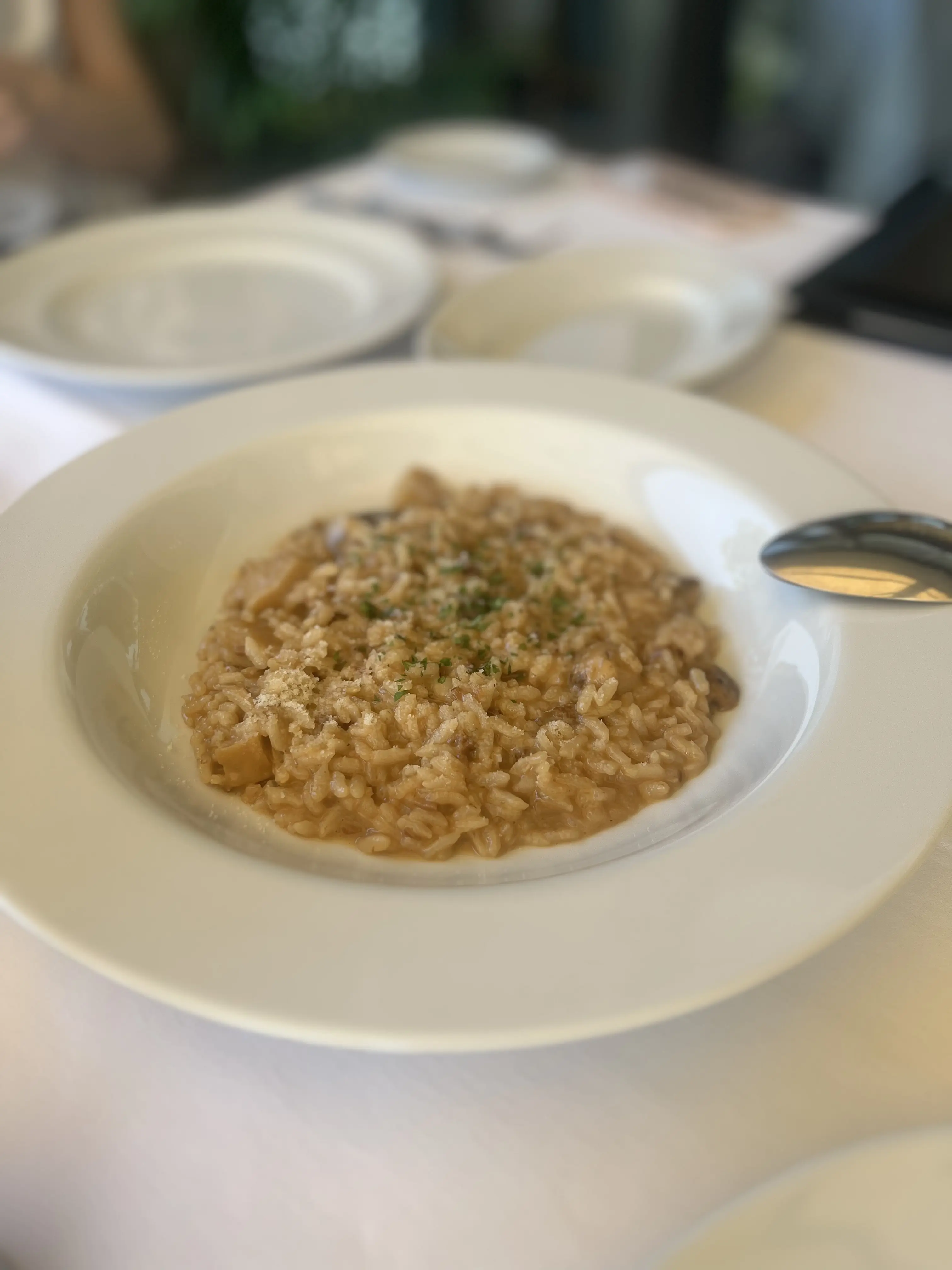 初夏にテラス席が最高のランチ＆オシャレなゴルフウェア_1_9
