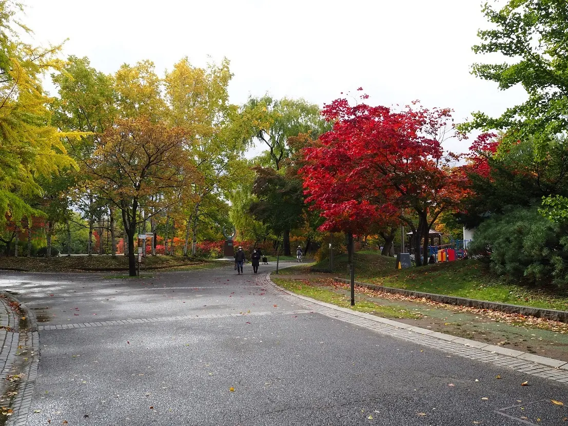 中島公園に入るとさっそく紅葉を発見