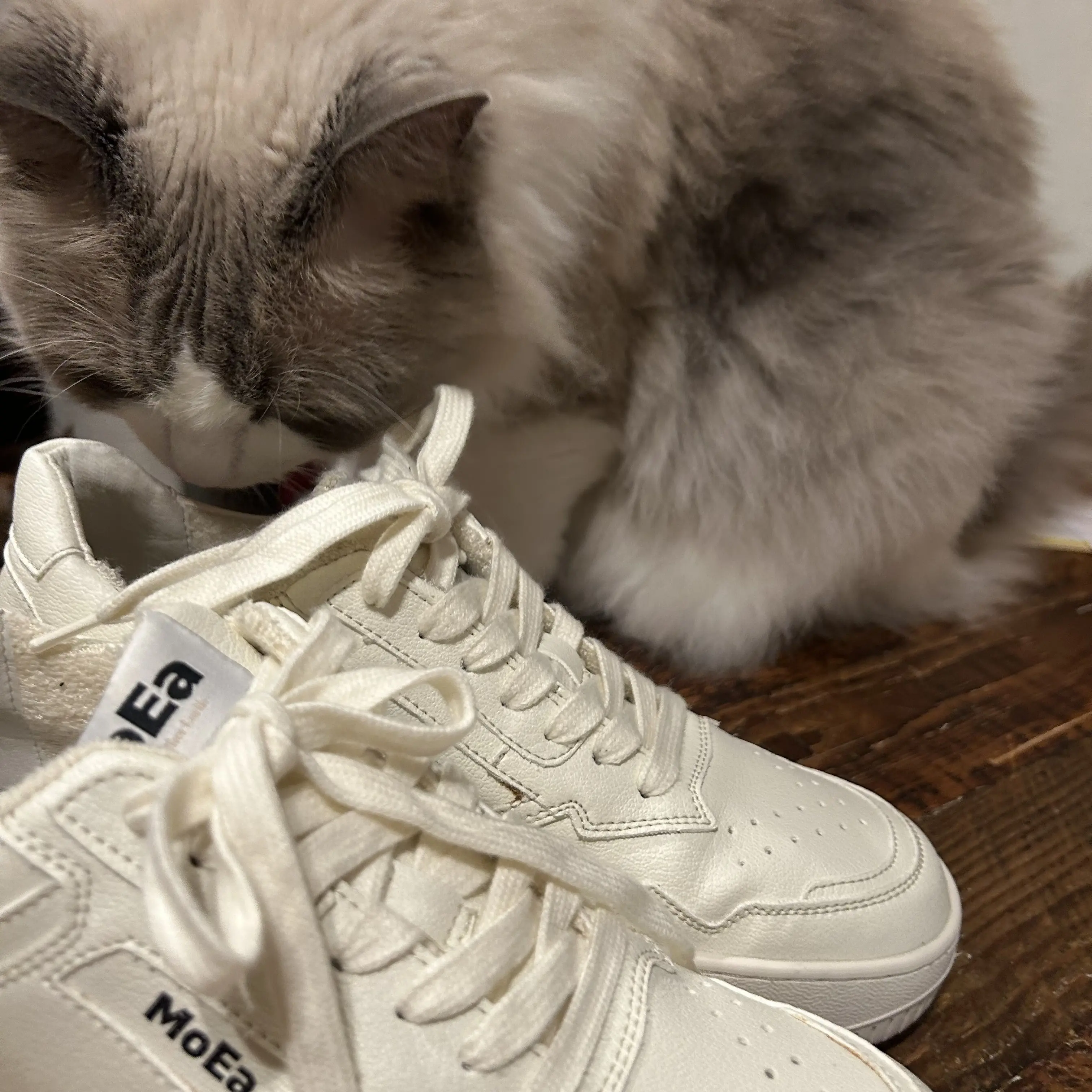 50代 ファッション】これ買っちゃいました eclat premium