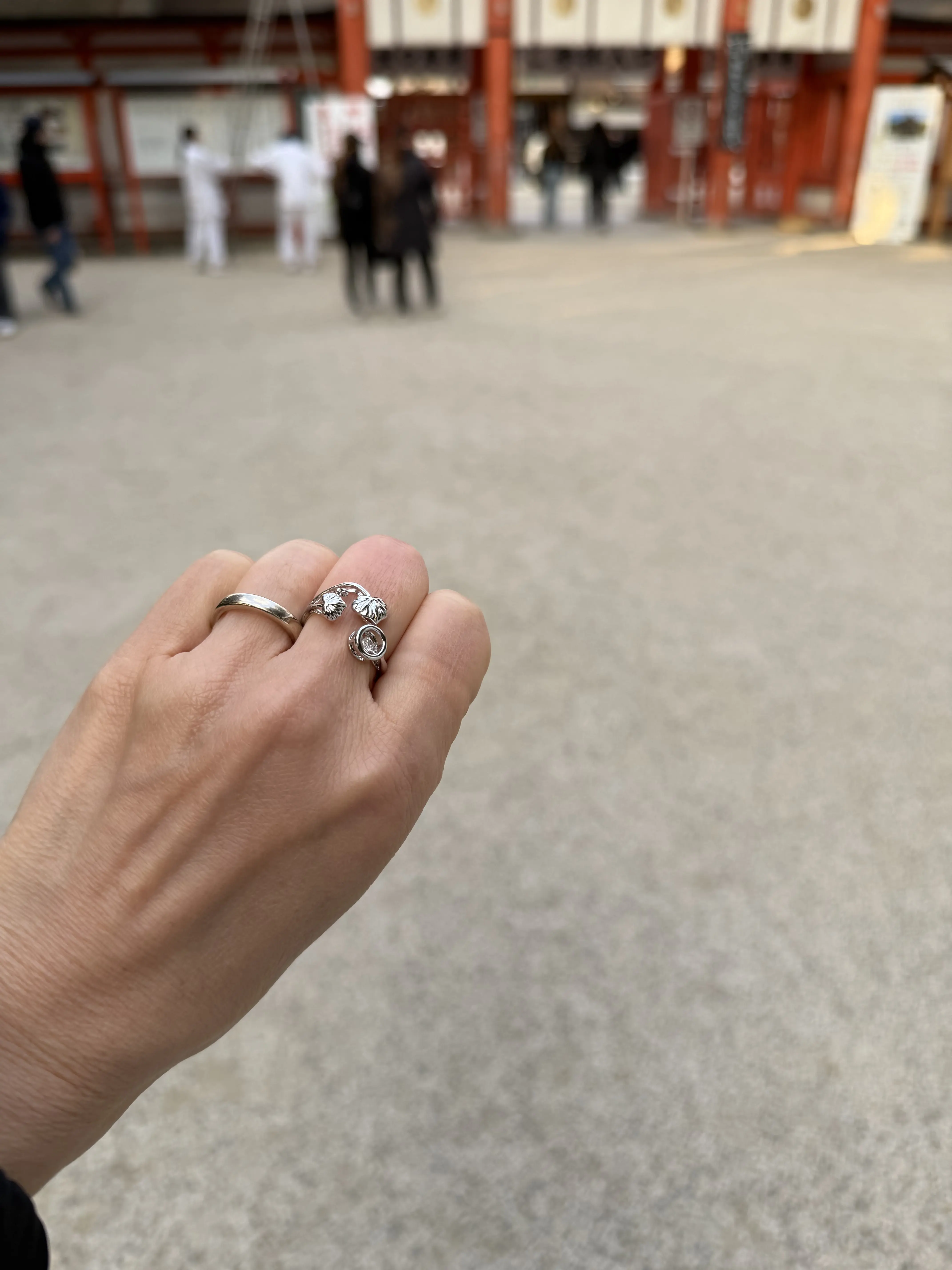 京都にて七草粥とお正月特別懐石料理の会_1_7