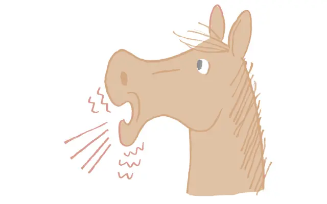 【自律神経を整える方法⑨】「馬の呼吸」を使う