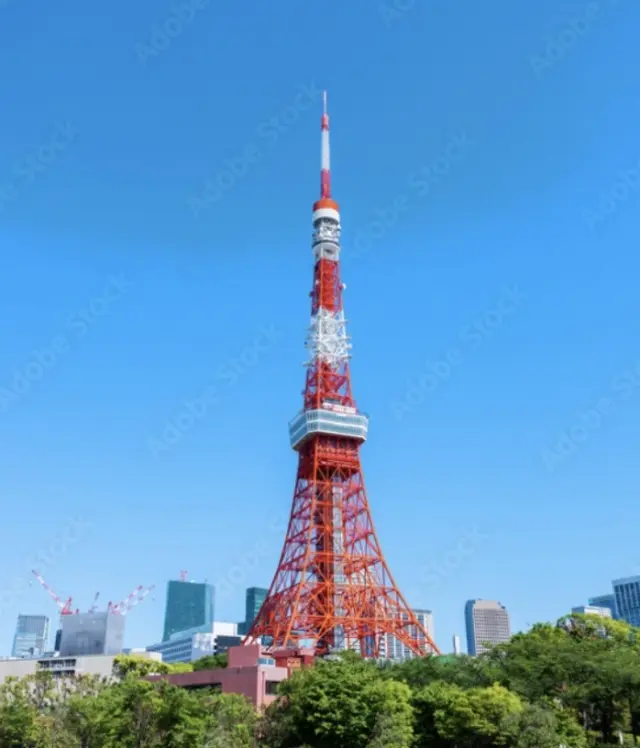 期間限定、バラのアーチと東京タワーのコ ラボ✨_1_3