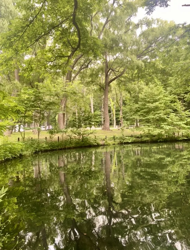 自然の中で、のんびりと過ごすことの贅沢✨_1_2