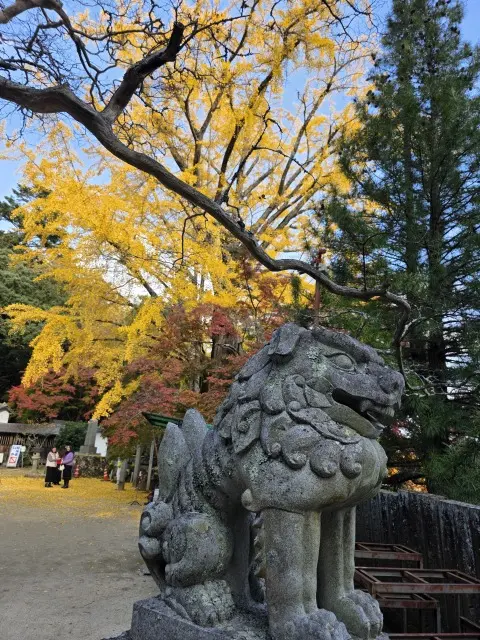 秋の紅葉とランチ_1_8