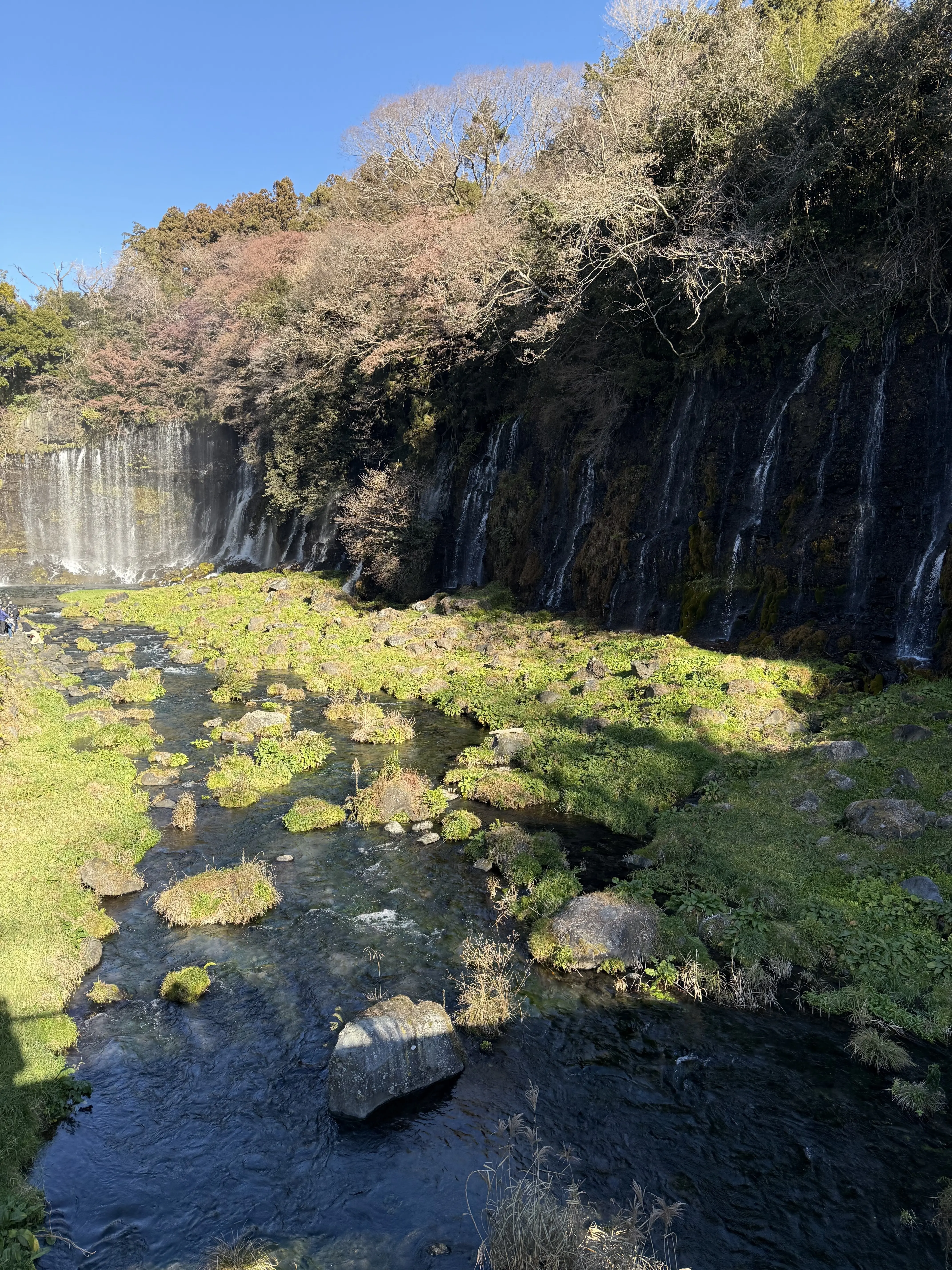 富士山 〜 山梨 白糸の滝へ、2025年は絶景スポットからスタートしました_1_9