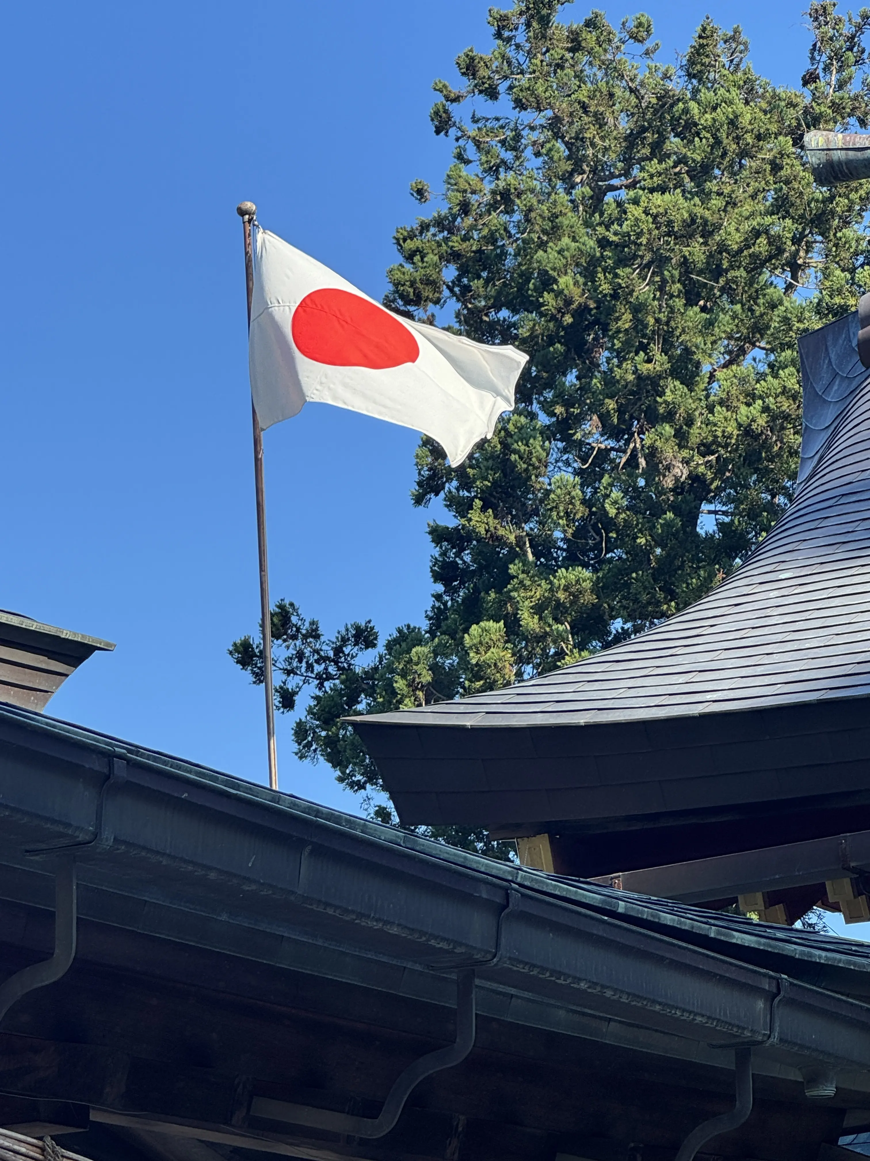 鹽竈神社 08