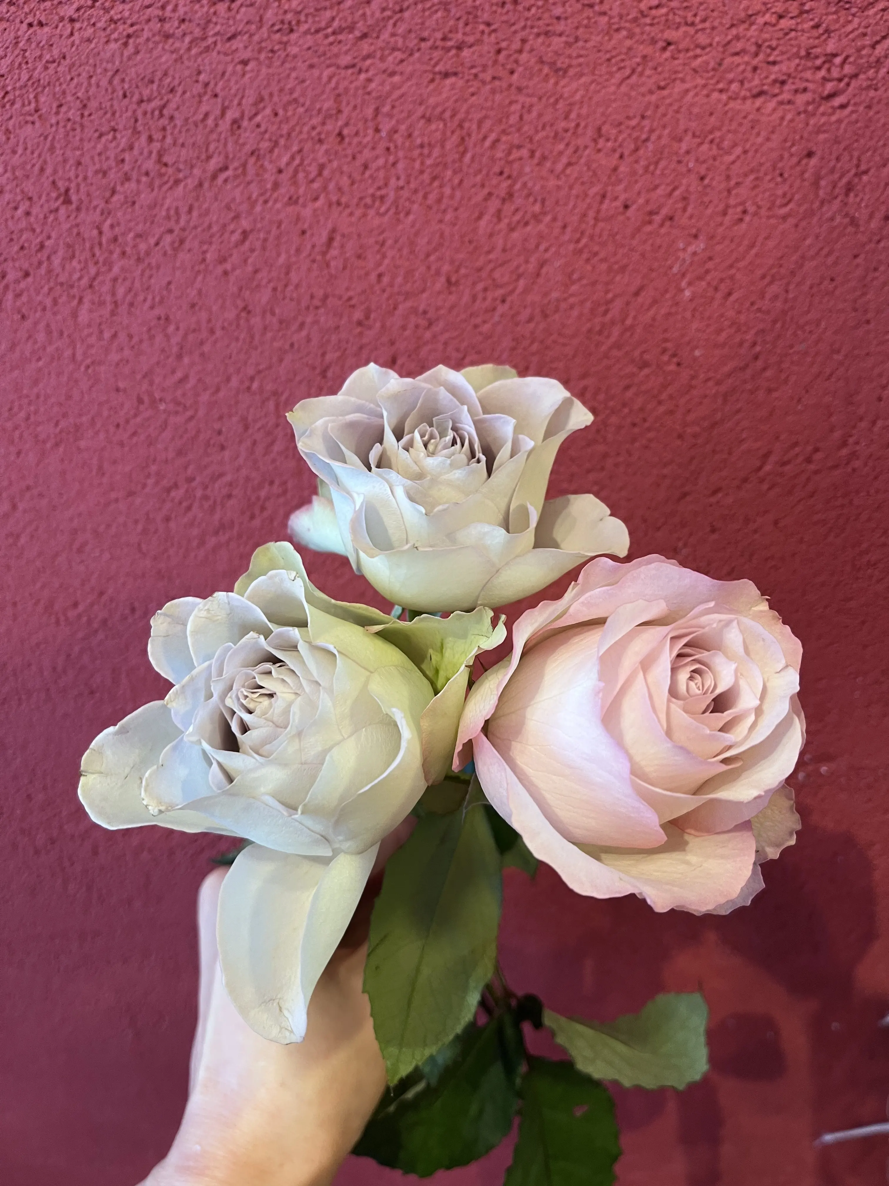 誕生日のブーケと最後にちょっとだけキラキラ観賞_1_5-1